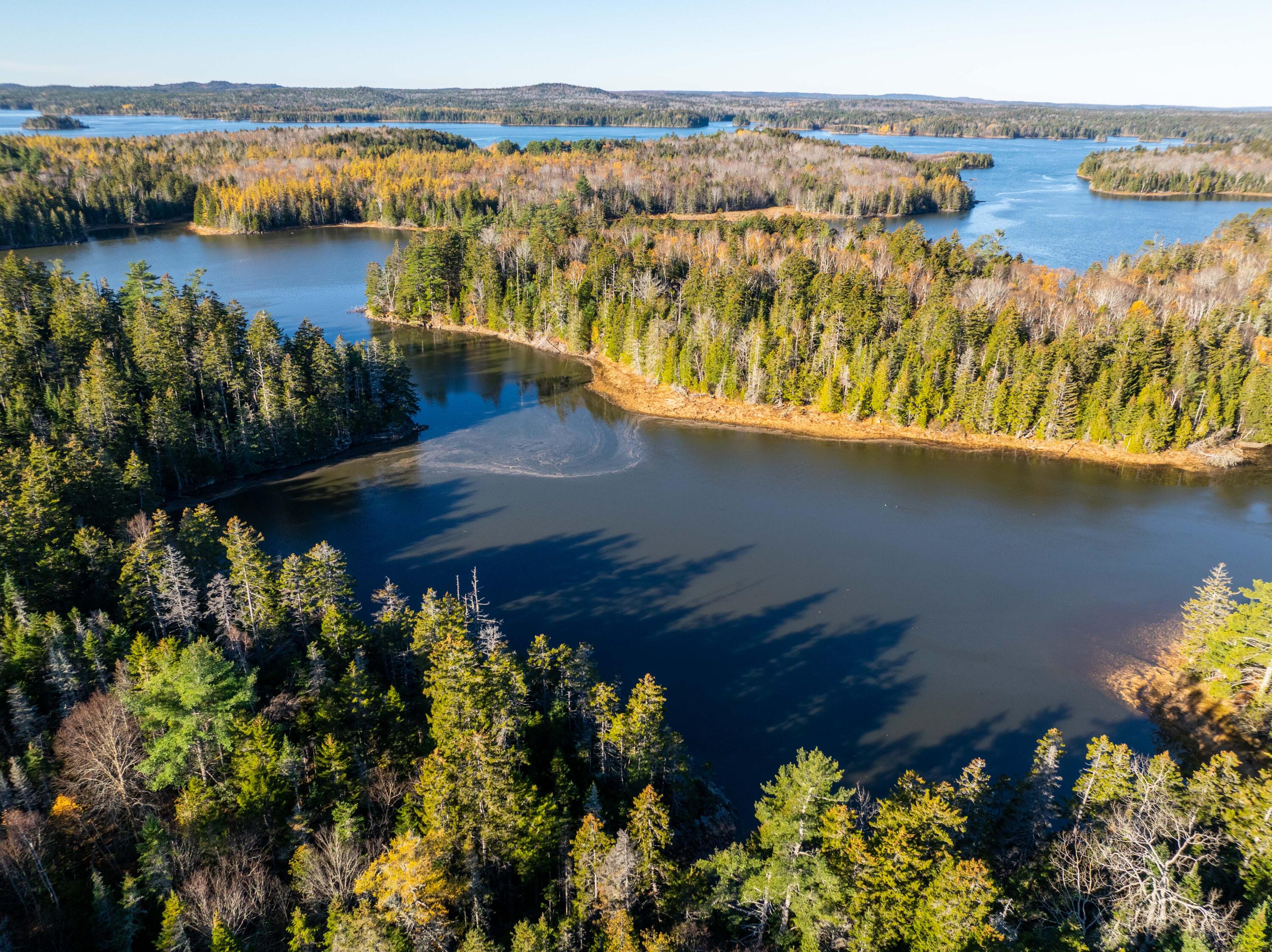 01-4 WA035, Trescott Twp, ME, 04652