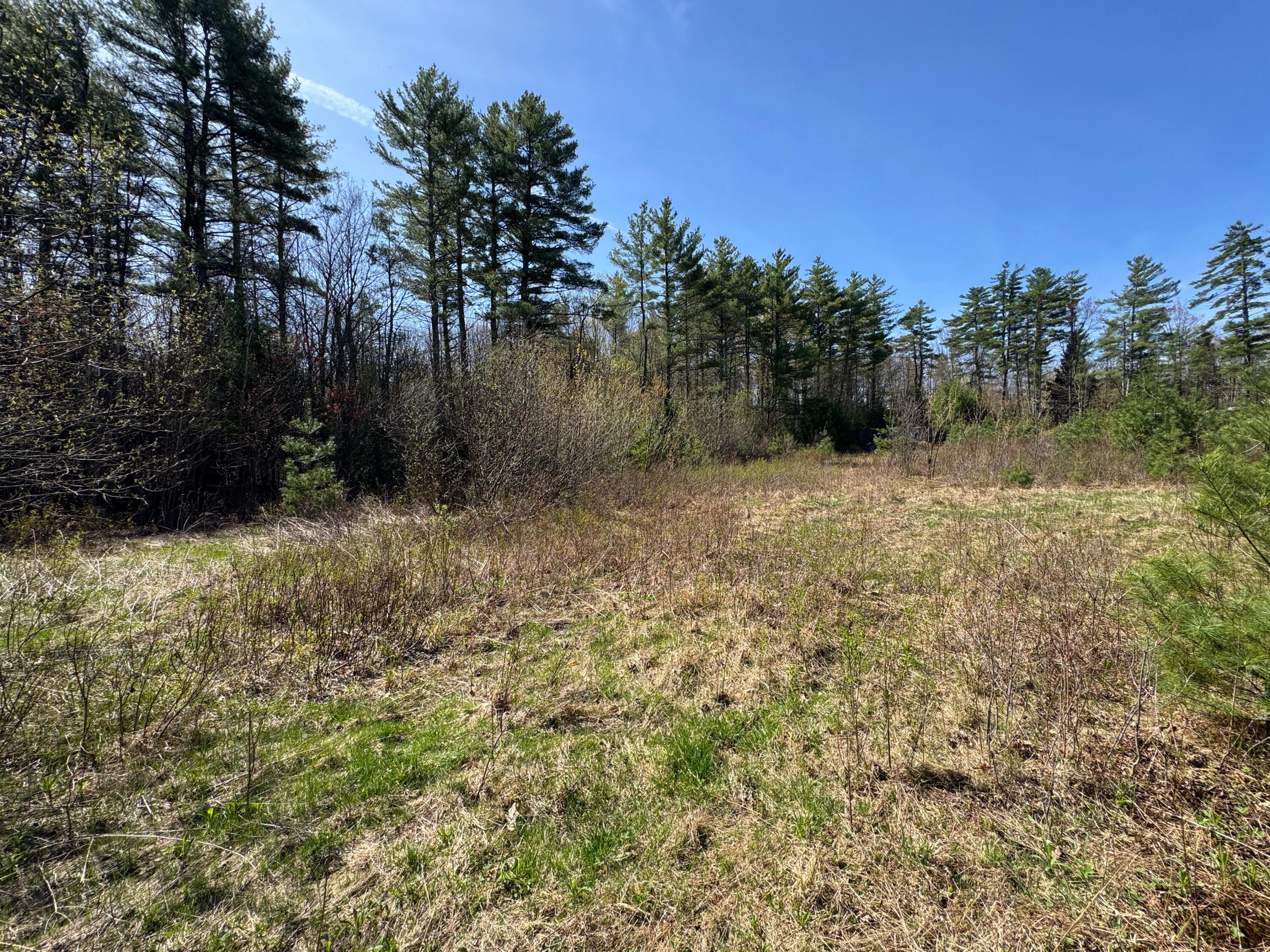 Search Homes for Sale