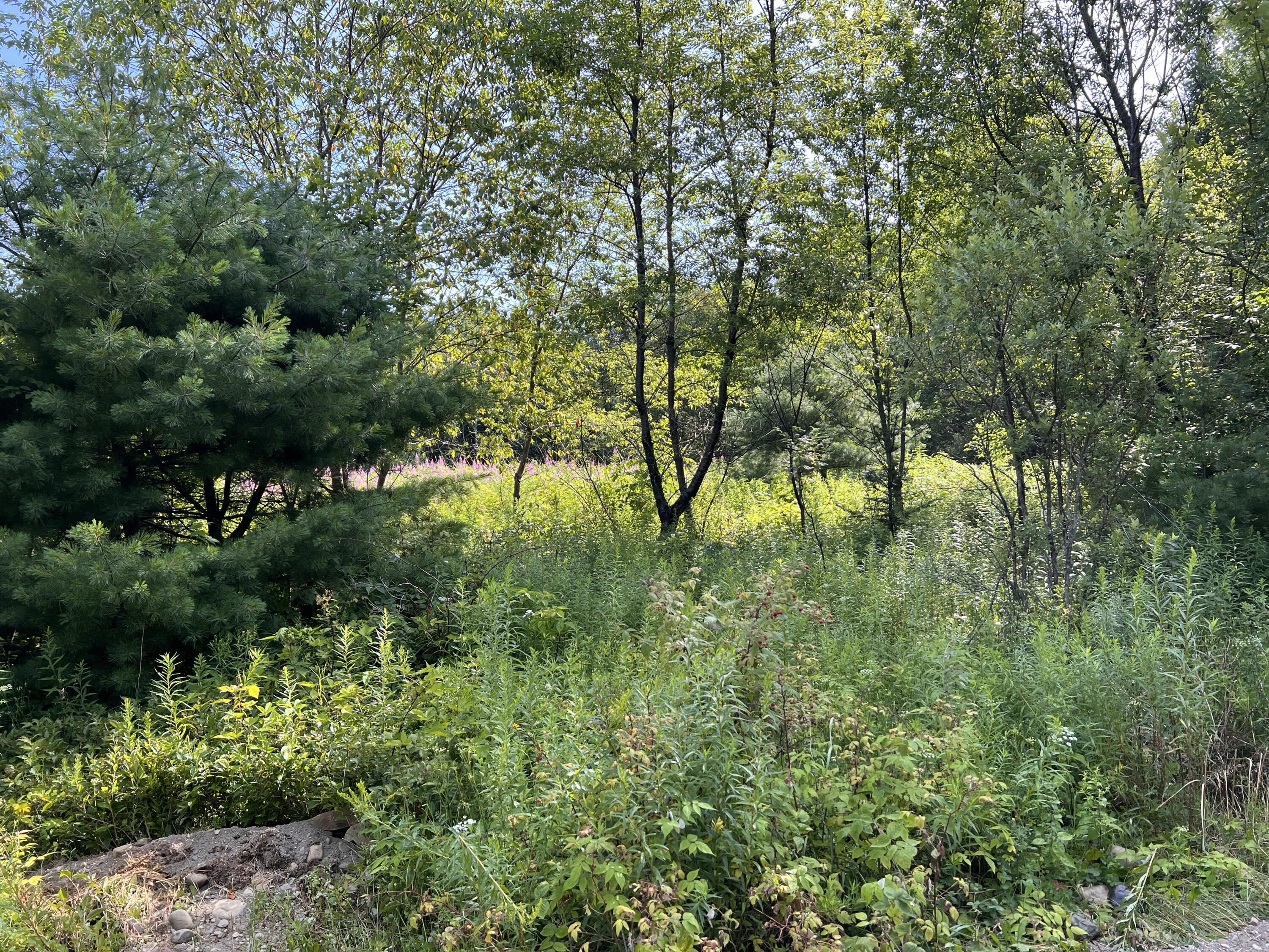 lot 6 & 8 Franklin Realty Road, Haynesville, ME 04497 Nice Level lot