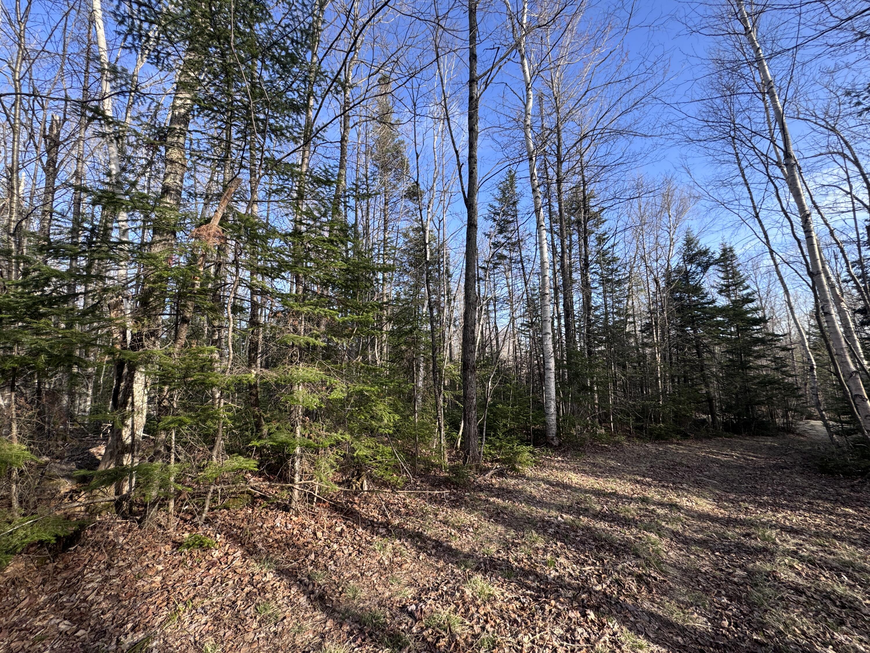 488 Cook Hill Road, Freeman Twp, ME 04983 IMG_4354