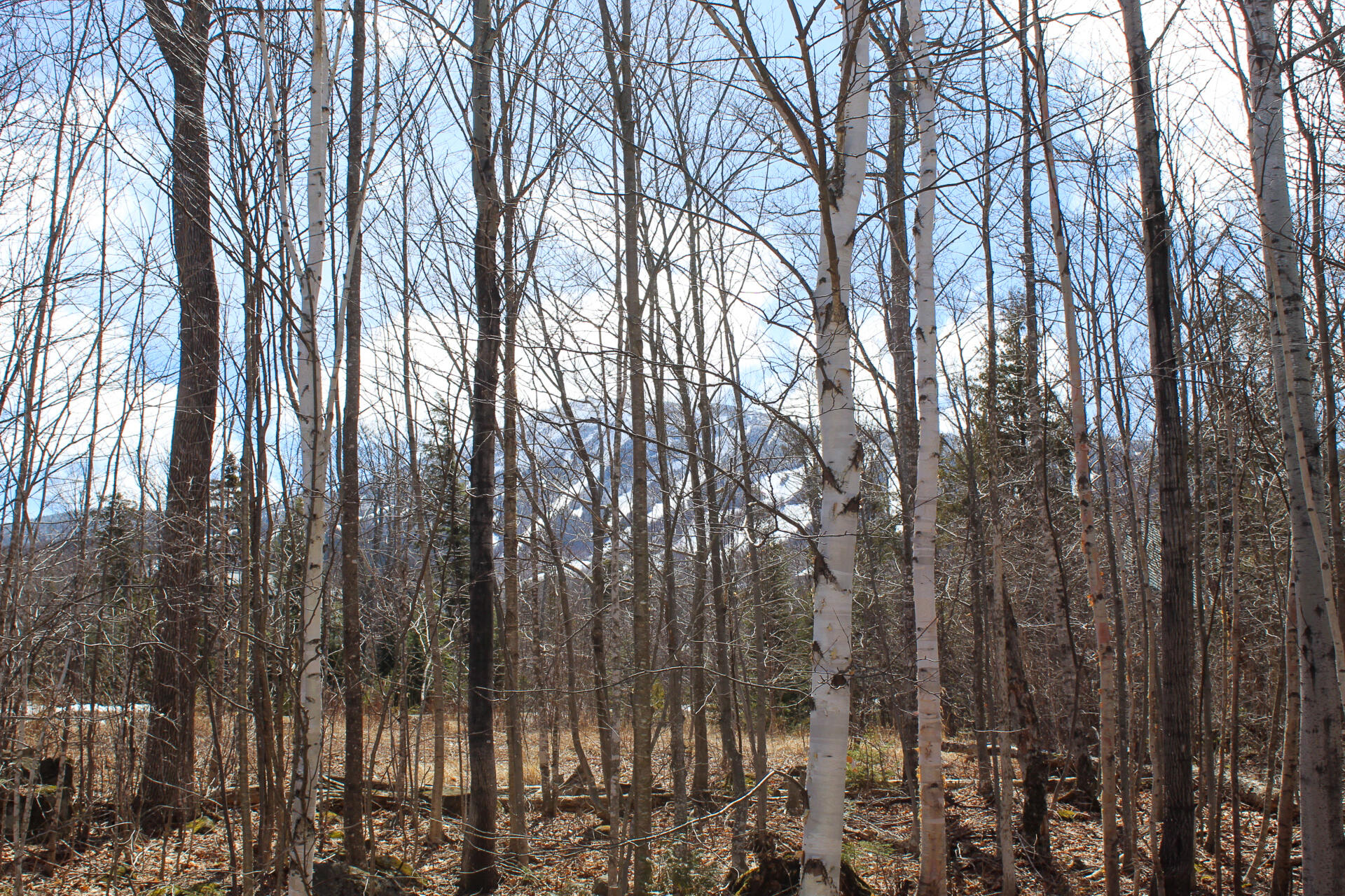 429 Snowflower Court UNIT 429, Carrabassett Valley, ME, 04947