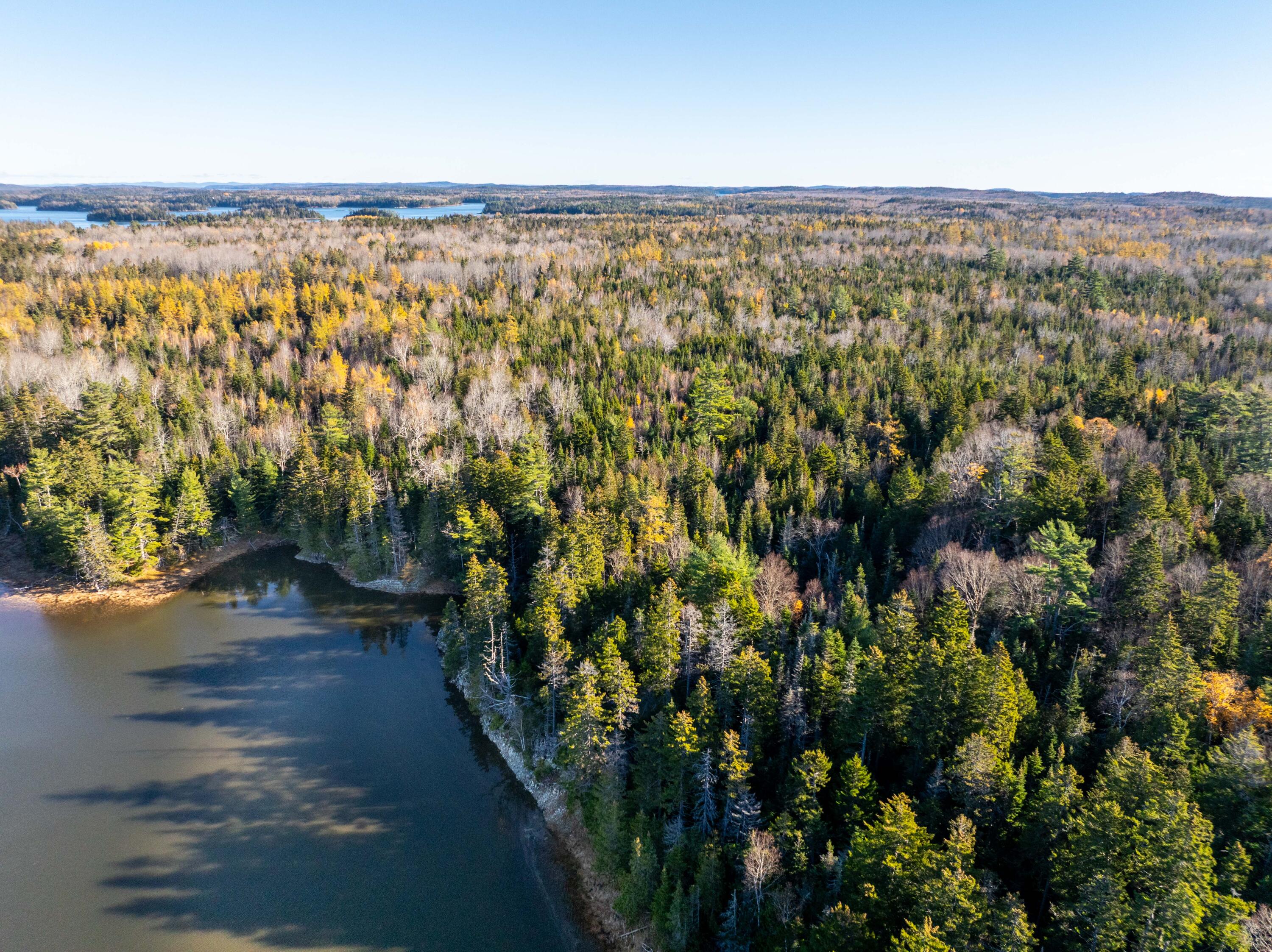 01-4 WA035, Trescott Twp, ME, 04652