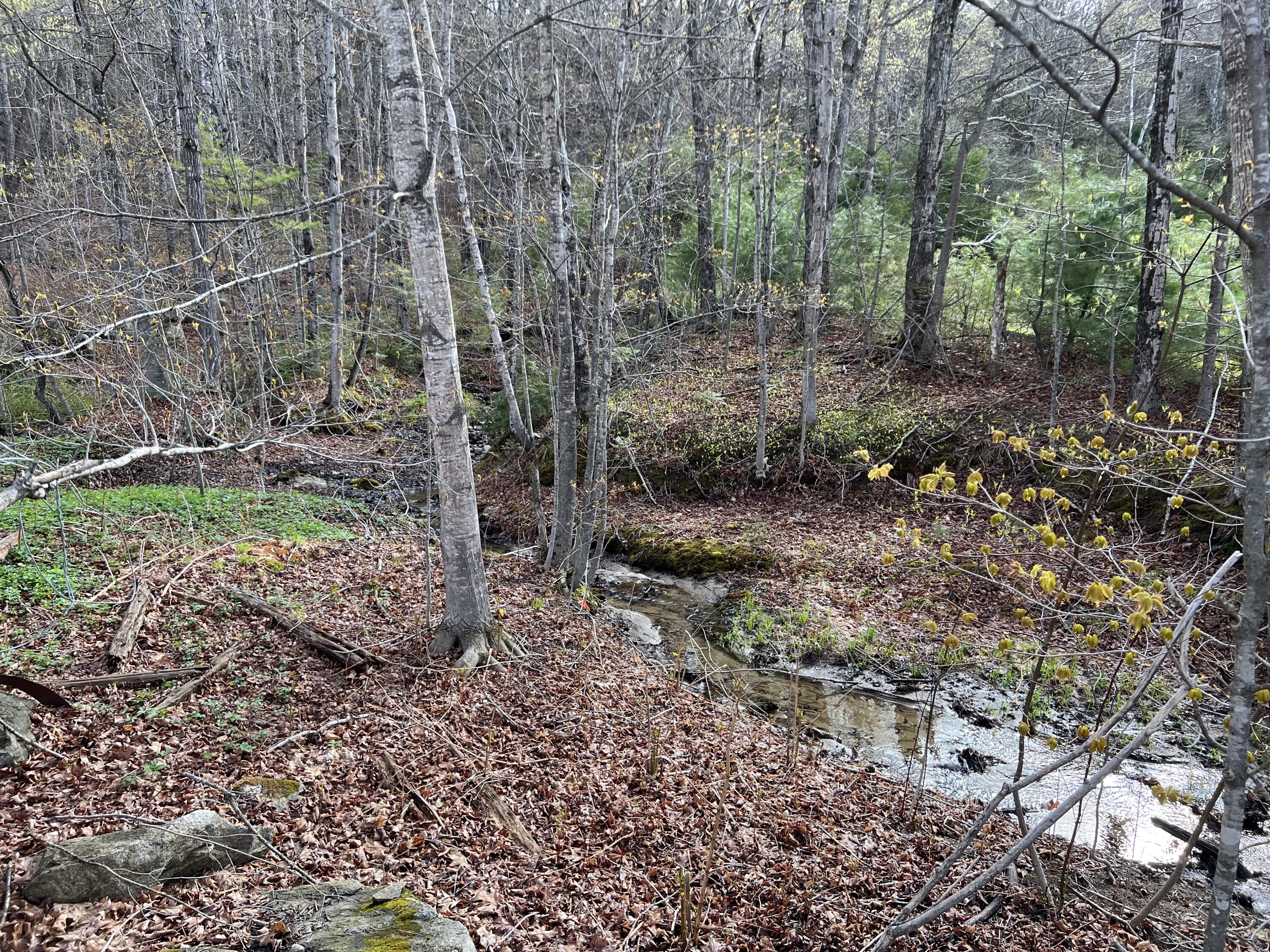 26 S Railroad Street, Roxbury, ME, 04275