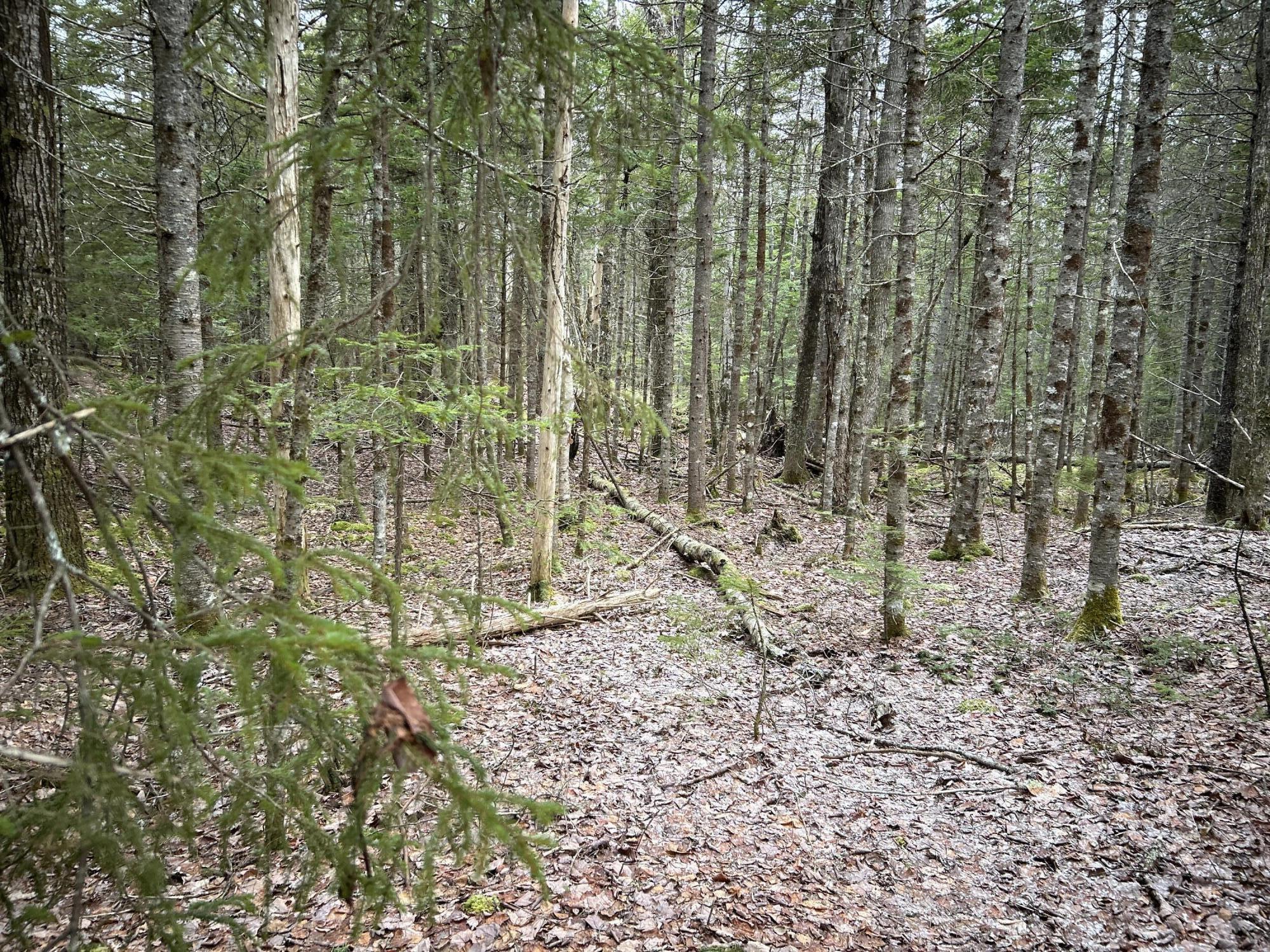 WA31P01L21 Kings Street, Dennysville, ME, 04628