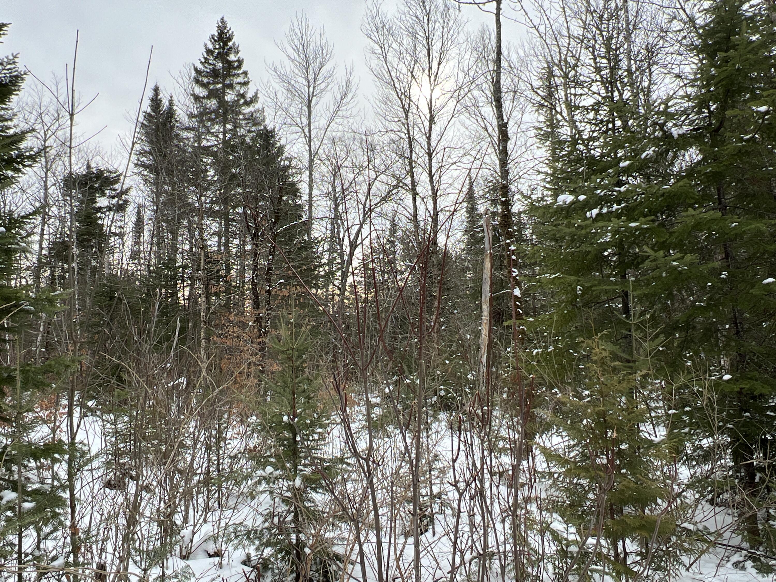 Lot 2-18 Shin Pond Road, Mount Chase, ME, 04765