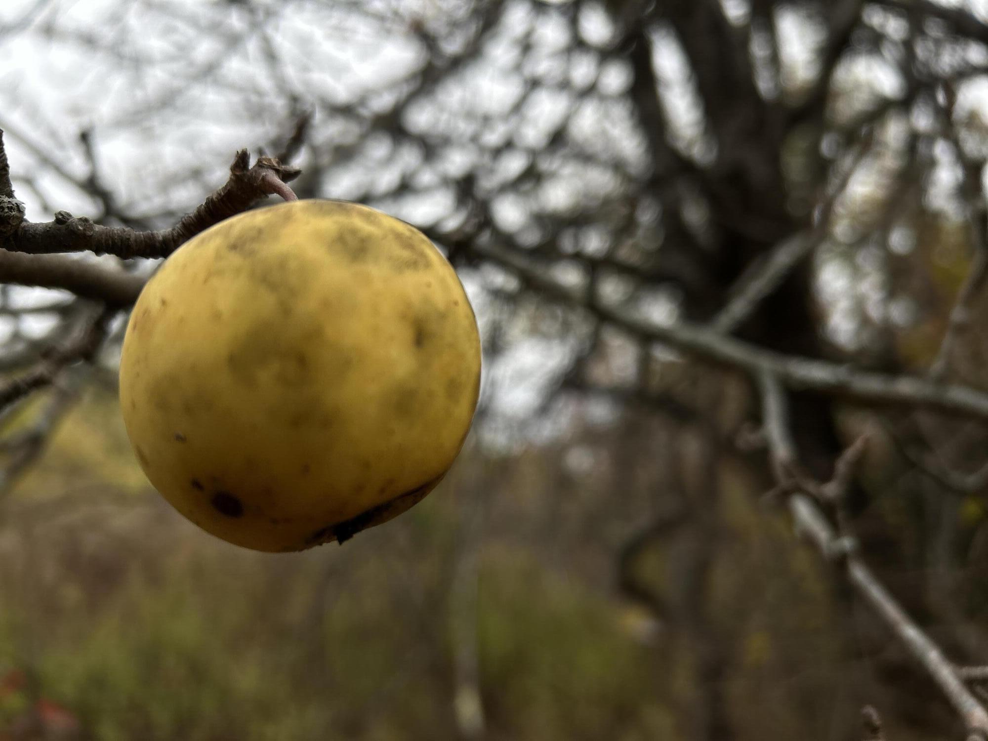 M4L18 Bog Road, Jackson, ME, 04921