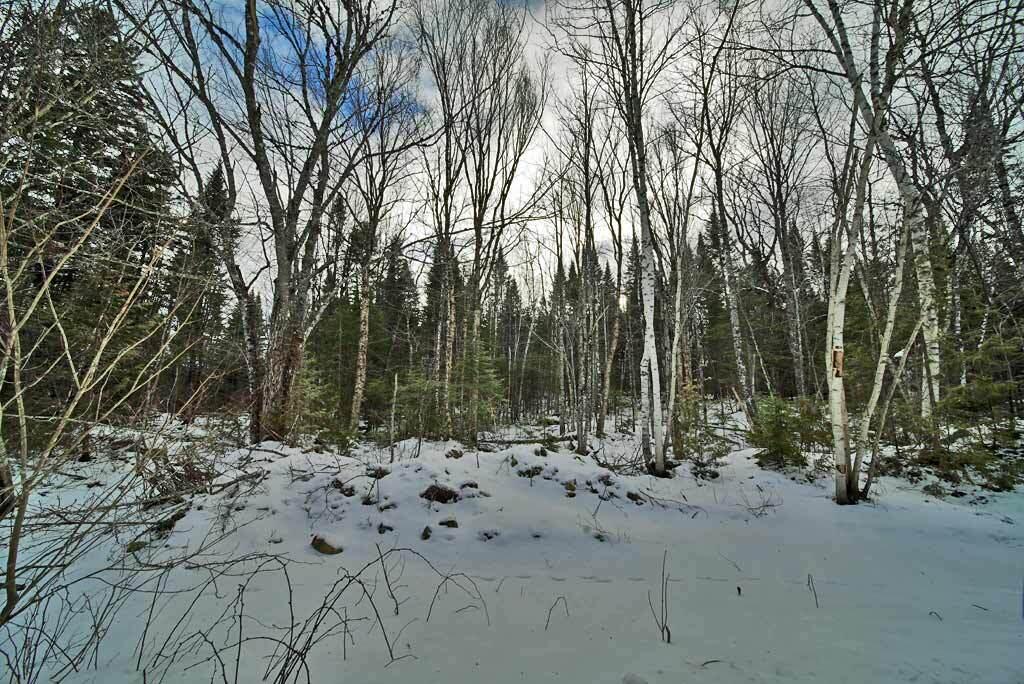 Lot 57 Fire Road, Linneus, ME, 04730