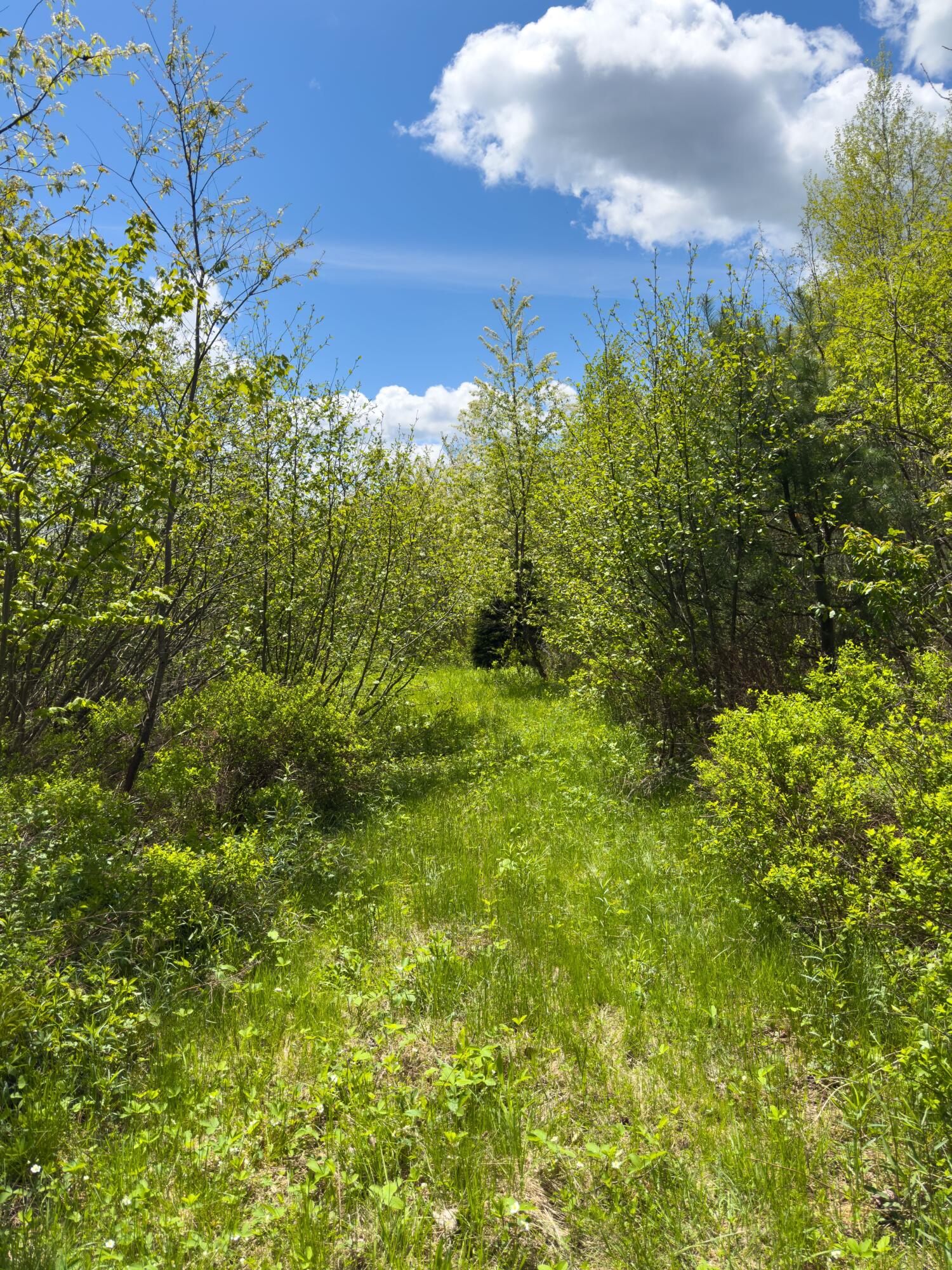 Lot 4 E Ridge Road, Cooper, ME 04657 RIDGE ROAD LOT 4-20