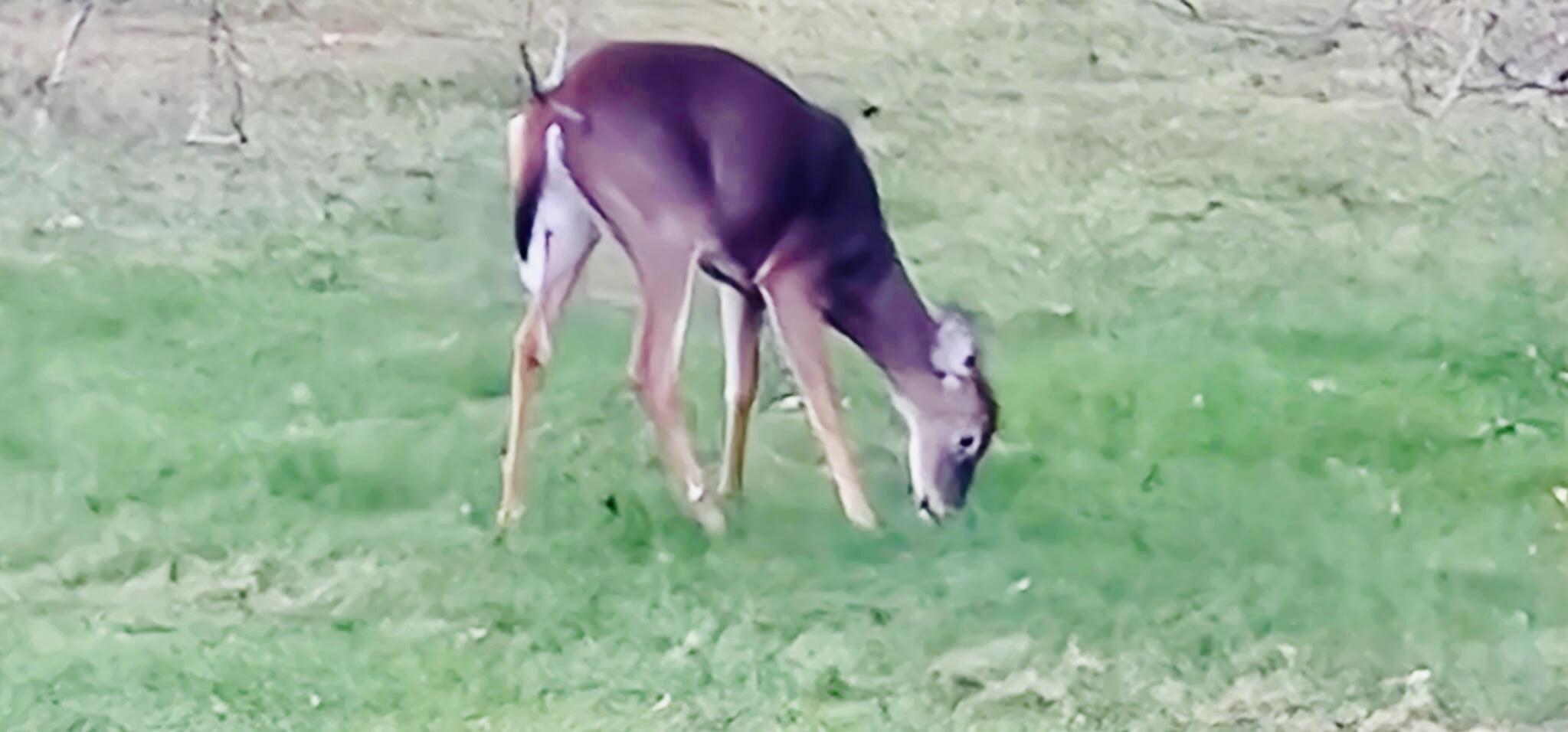 28 Messina Drive, Skowhegan, ME, 04976