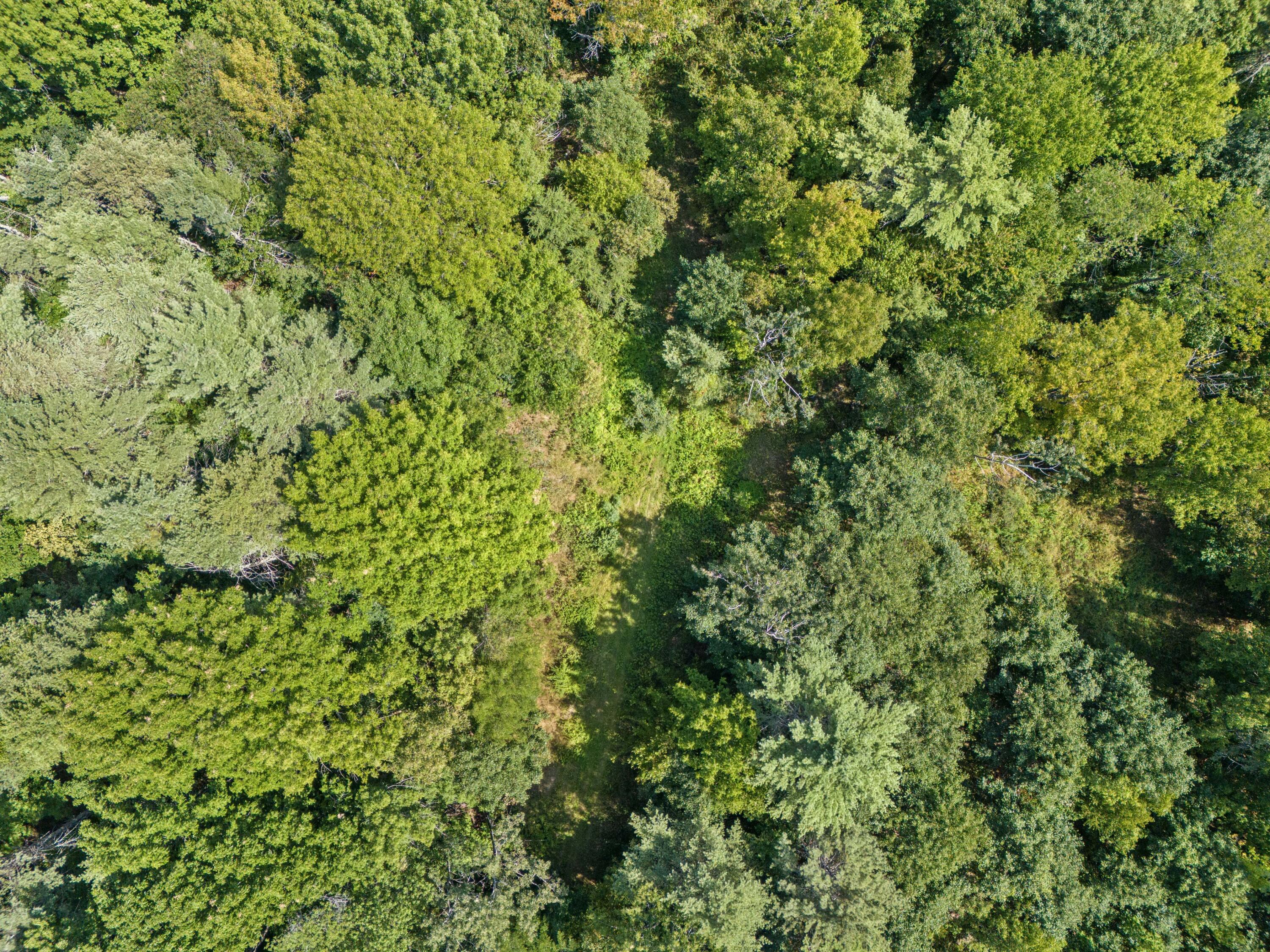 Lot 12 Hallowell Road, Litchfield, ME, 04350