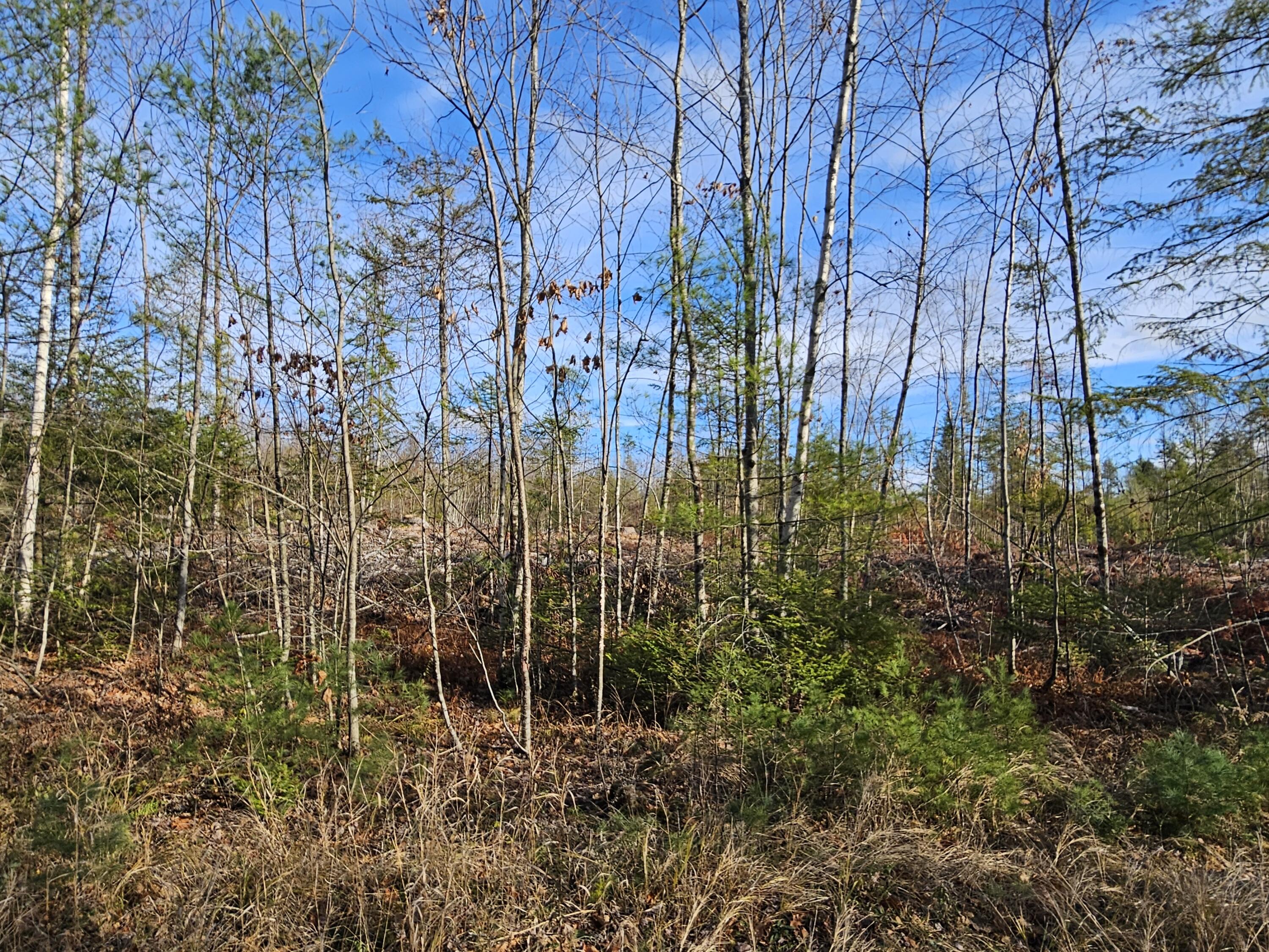 M-3 L-33-5 Cape Cod Hill Road, New Sharon, ME, 04955