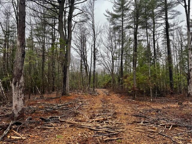 SO 001 Plan 2 Lot 16.1 Long Falls Dam Road, Lexington Twp, ME, 04961