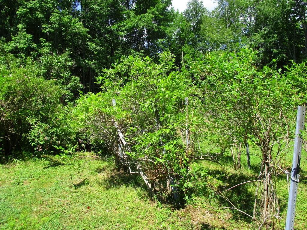 87 Lake Street, New Vineyard, ME, 04956