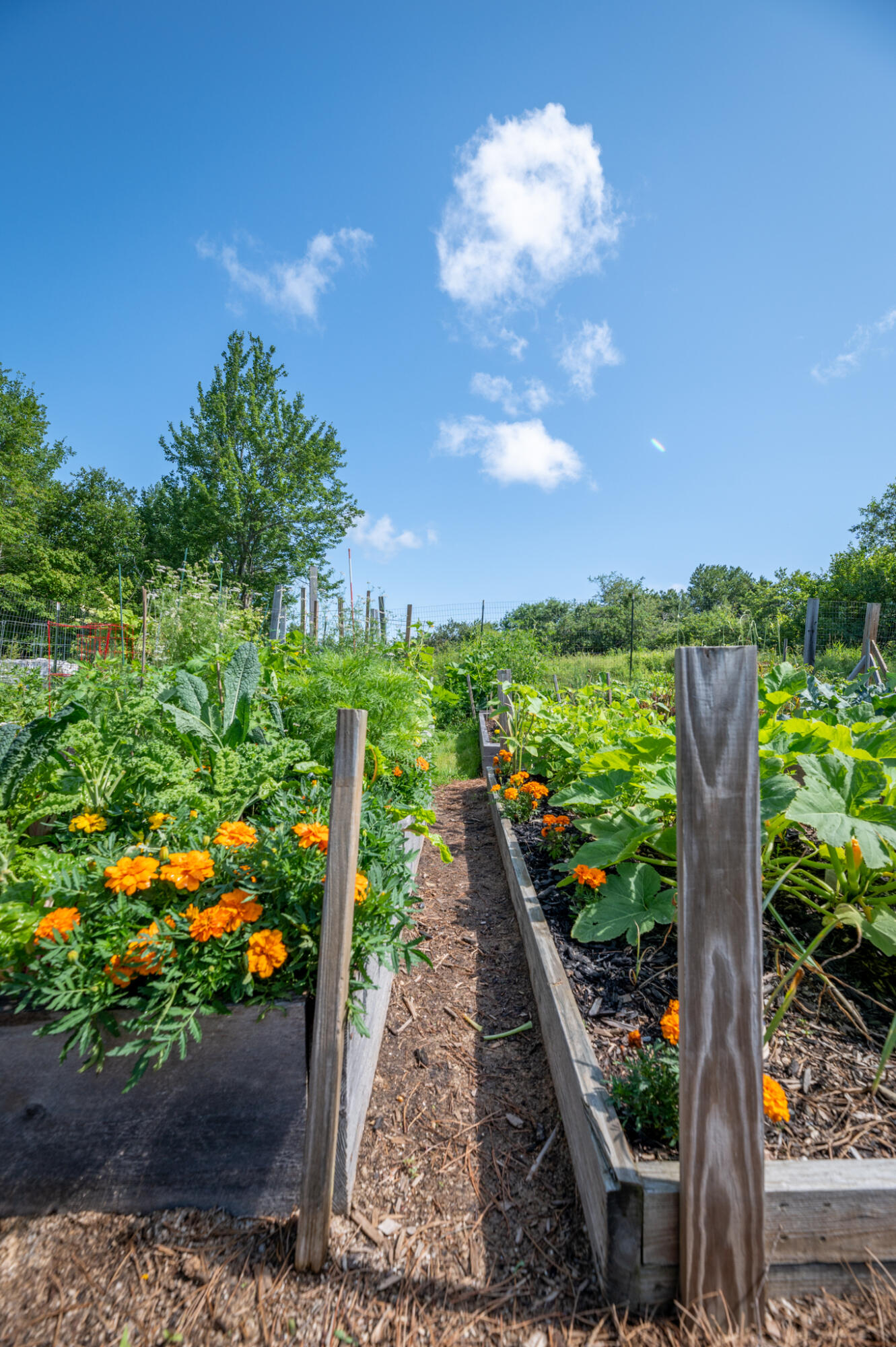 58 Harbor View Drive UNIT 58, Stockton Springs, ME, 04981