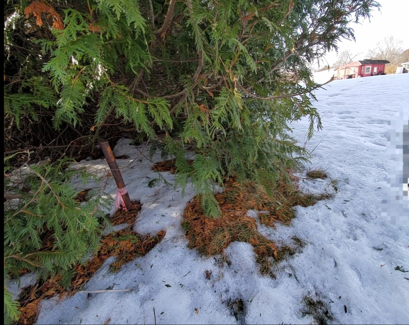 999 Main Road, Eddington, ME, 04428