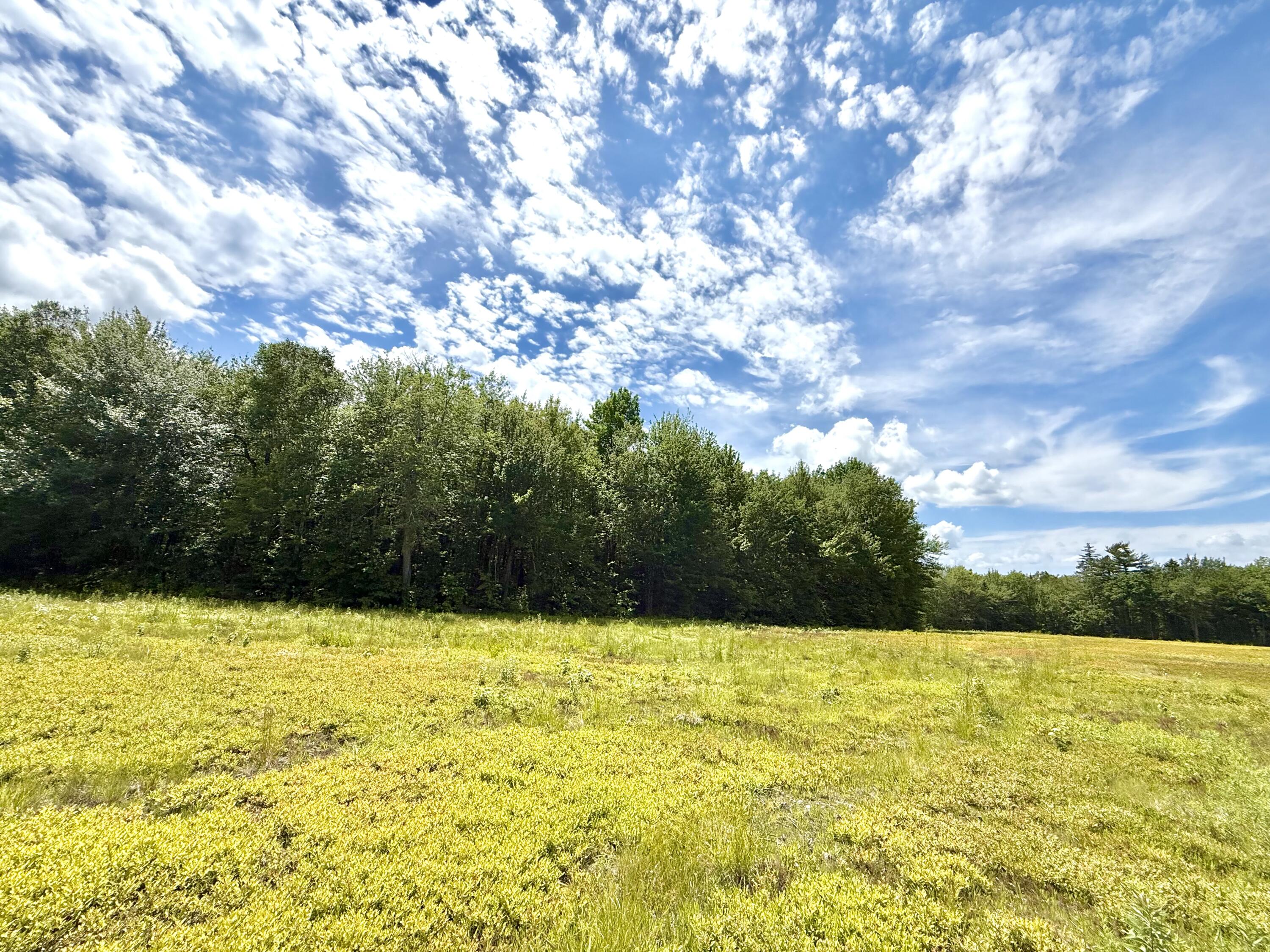 MAP13LOT9 Martins Ridge Road, Franklin, ME, 04634