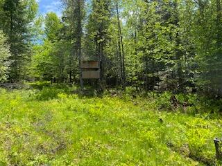 254 Eaton Road, Dexter, ME 04435 — photo 41