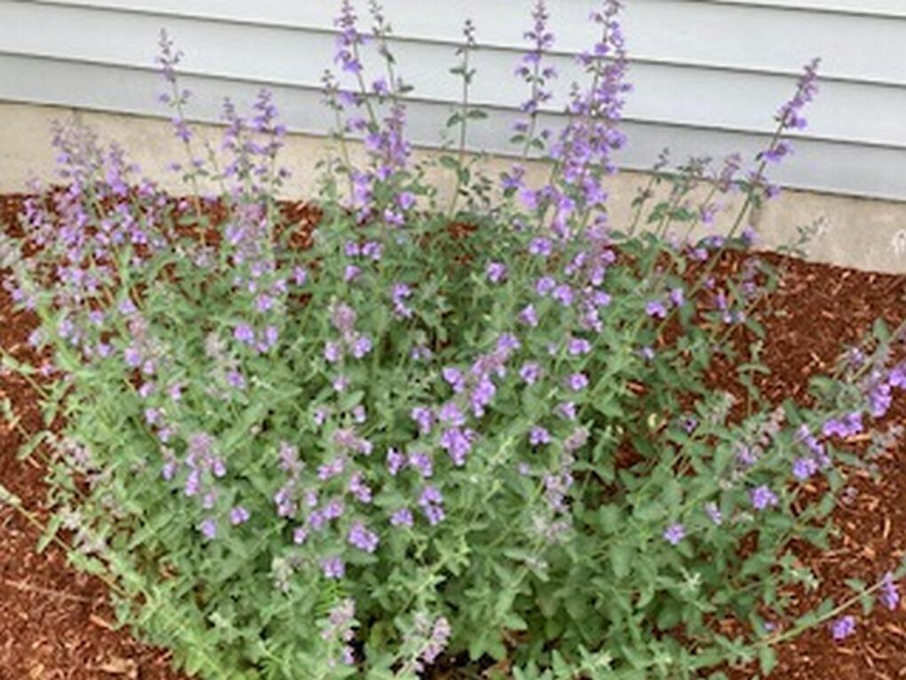 74 Town Farm Road, Hampden, ME, 04444