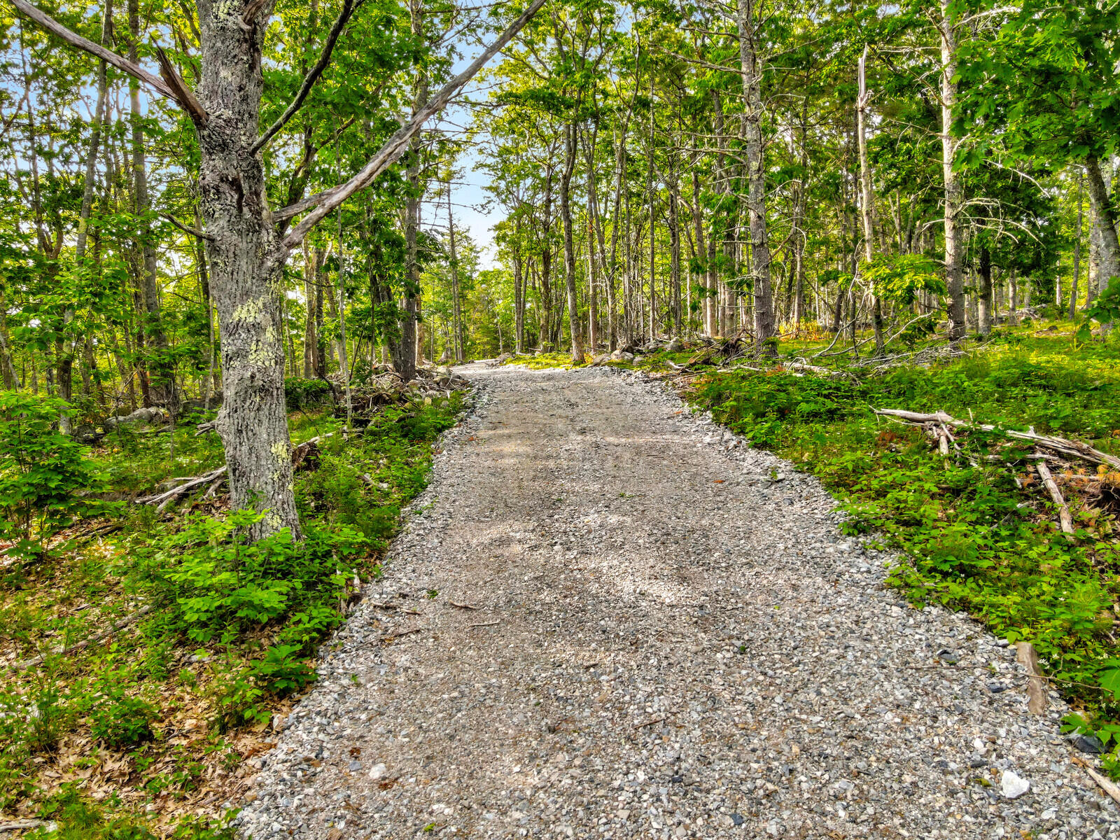 977 Alna Road, Alna, ME, 04535