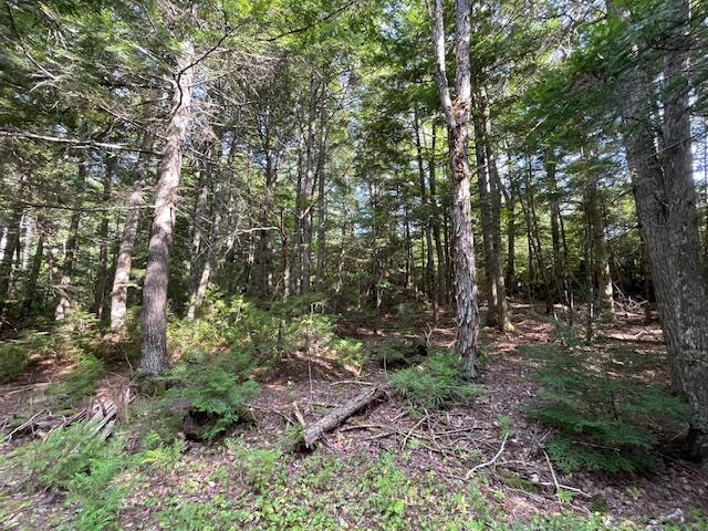 69K Christmas Cove Road, Crawford, ME, 04694