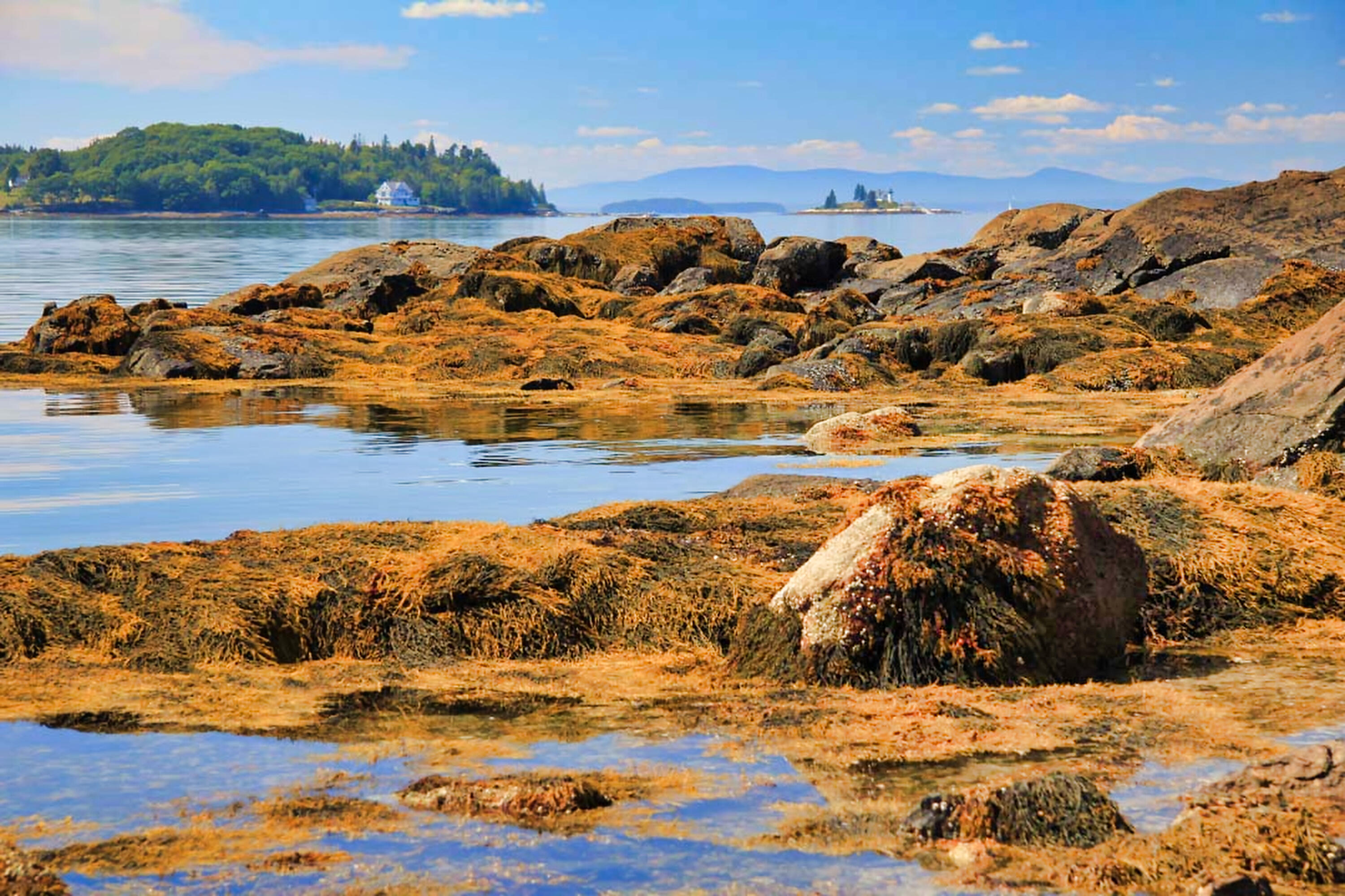 435 Herrick Road, Brooksville, ME, 04617