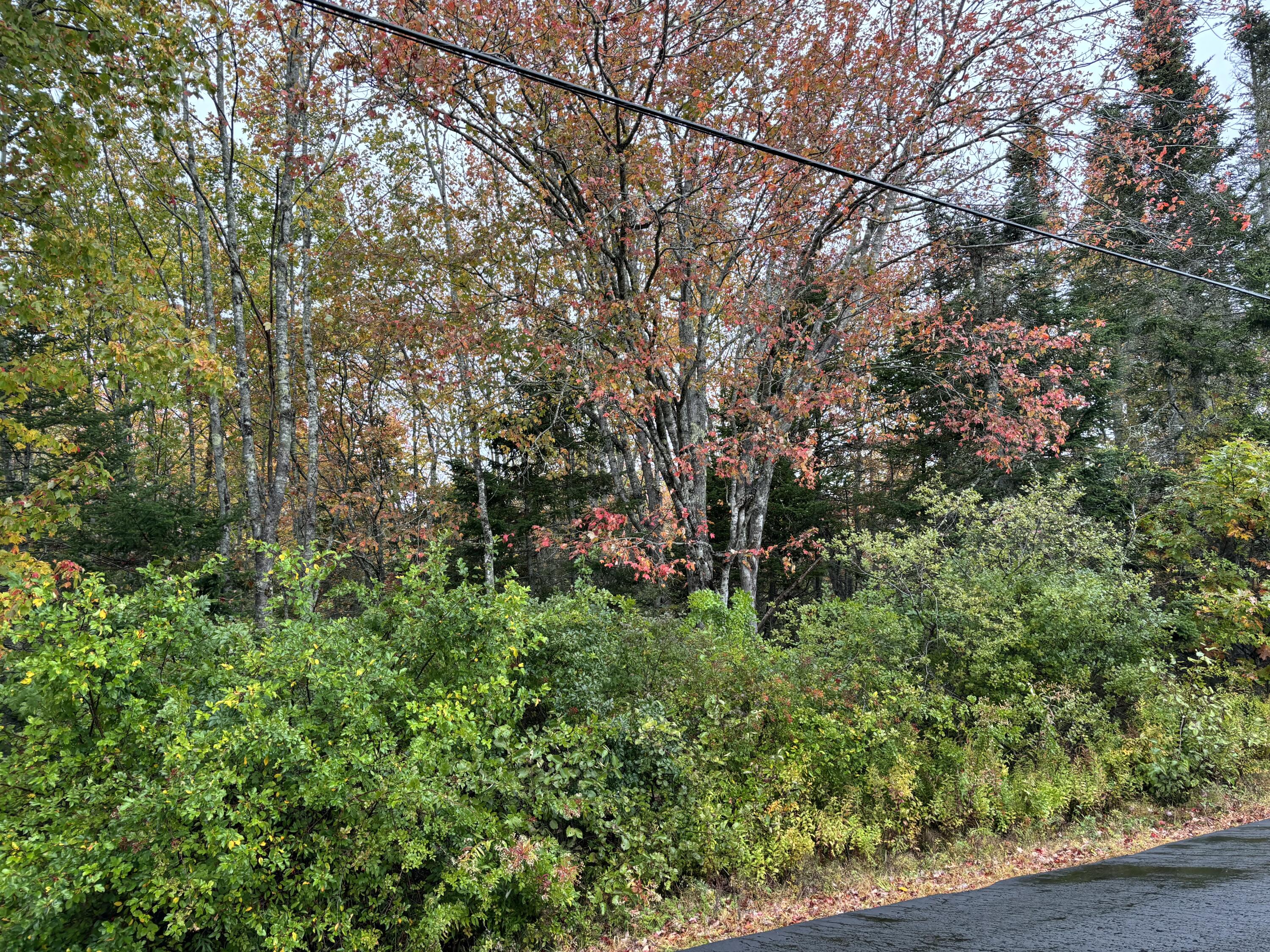 253 Hathorne Point Road, Cushing, ME, 04563