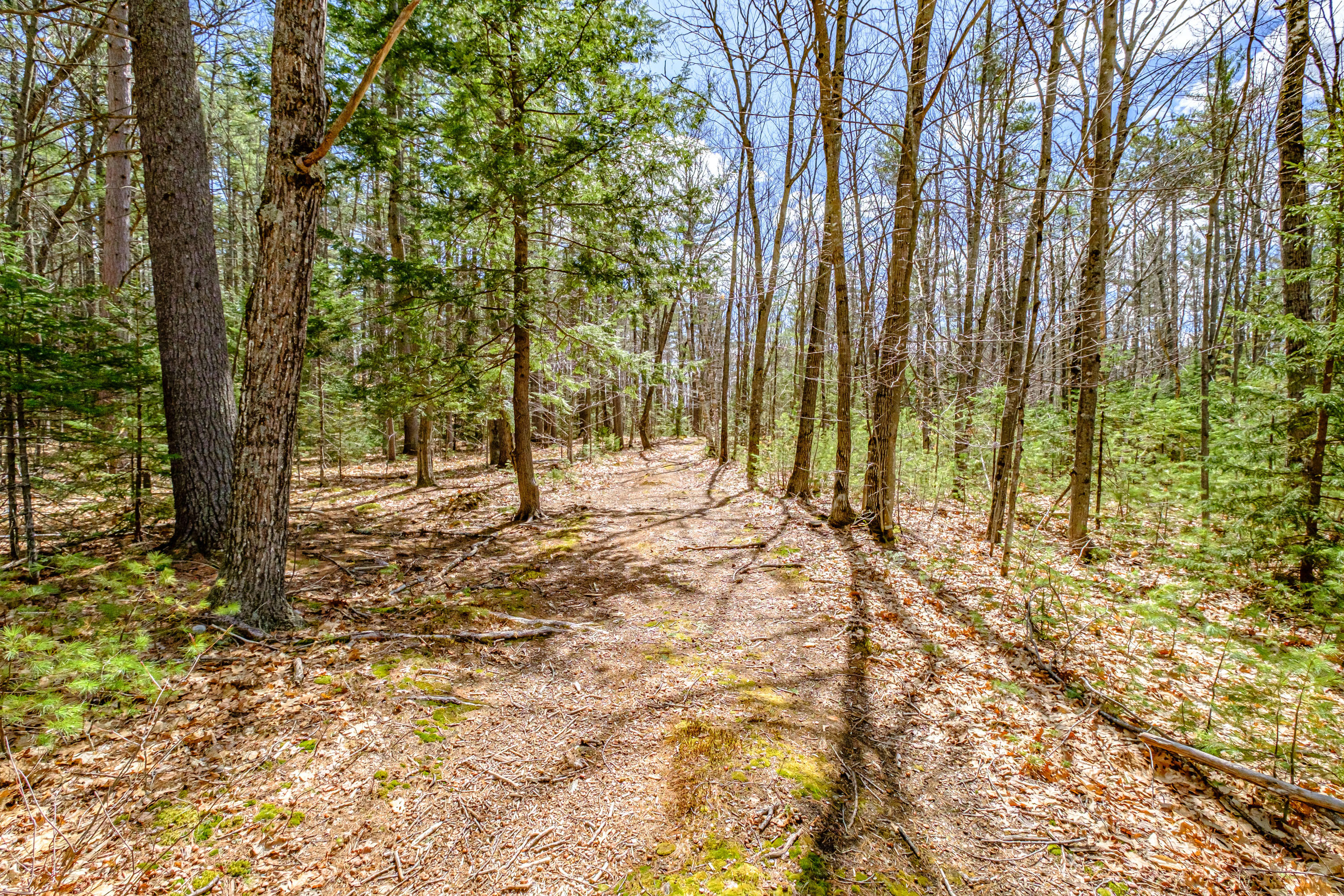 52 Jordan Woods Road, Bethel, ME, 04217-3246