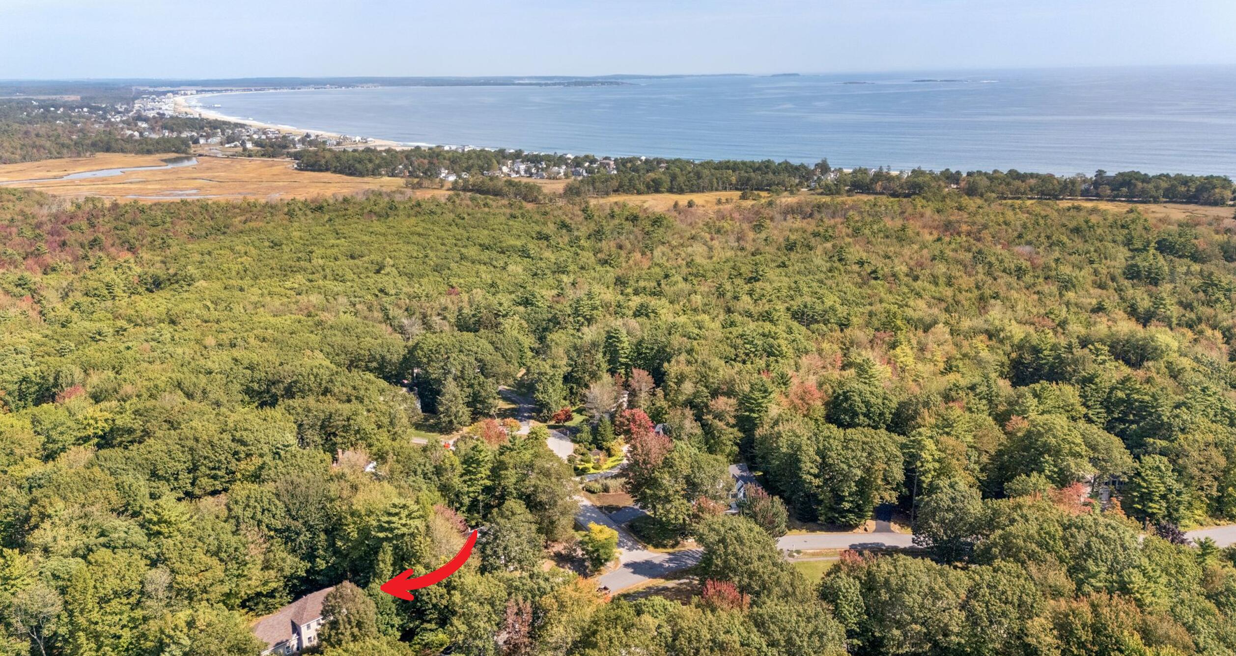 30 Vines Road