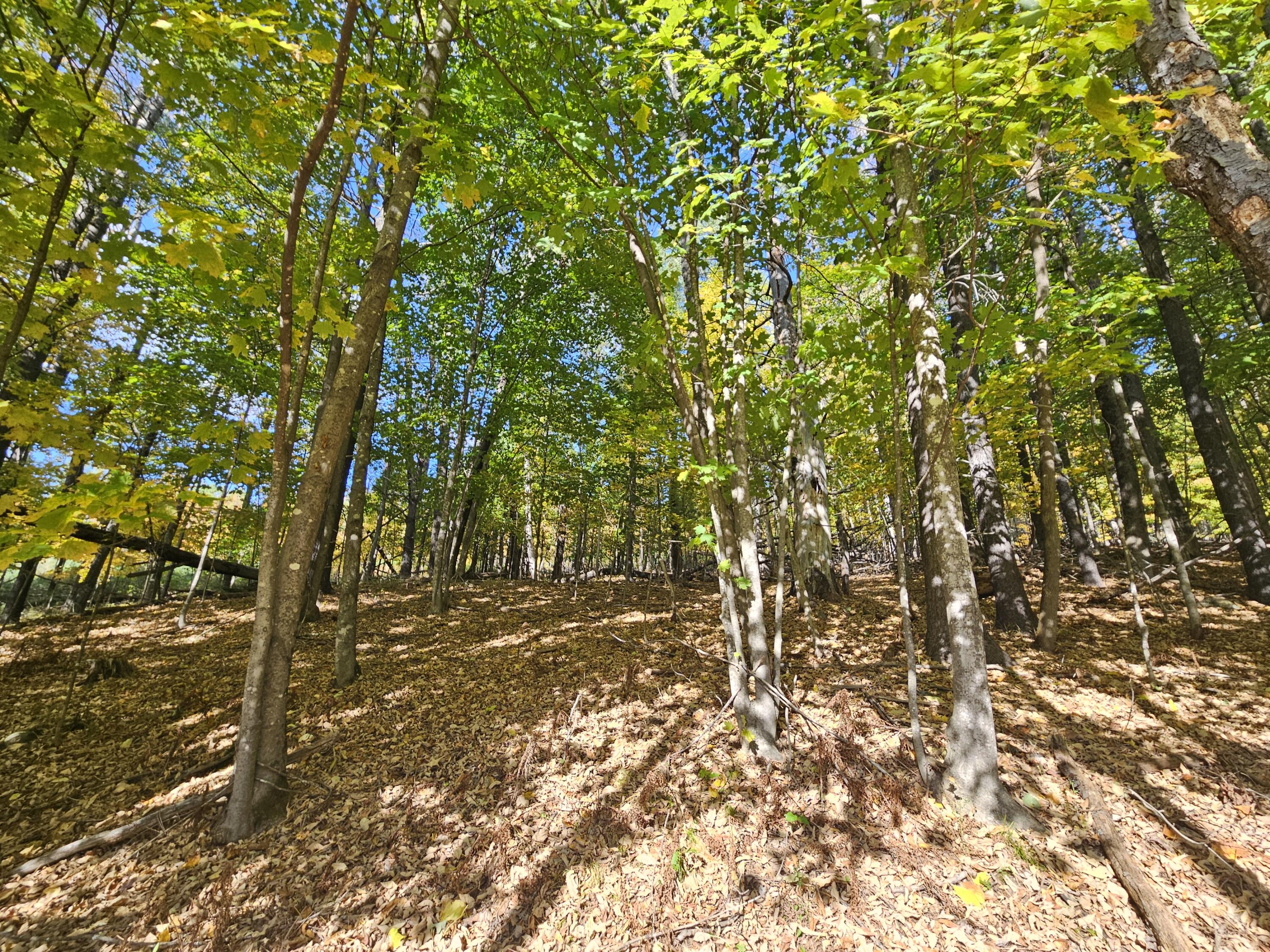 R-5 13-A Norton Hill Road, Strong, ME, 04983