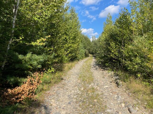 69K Christmas Cove Road, Crawford, ME, 04694