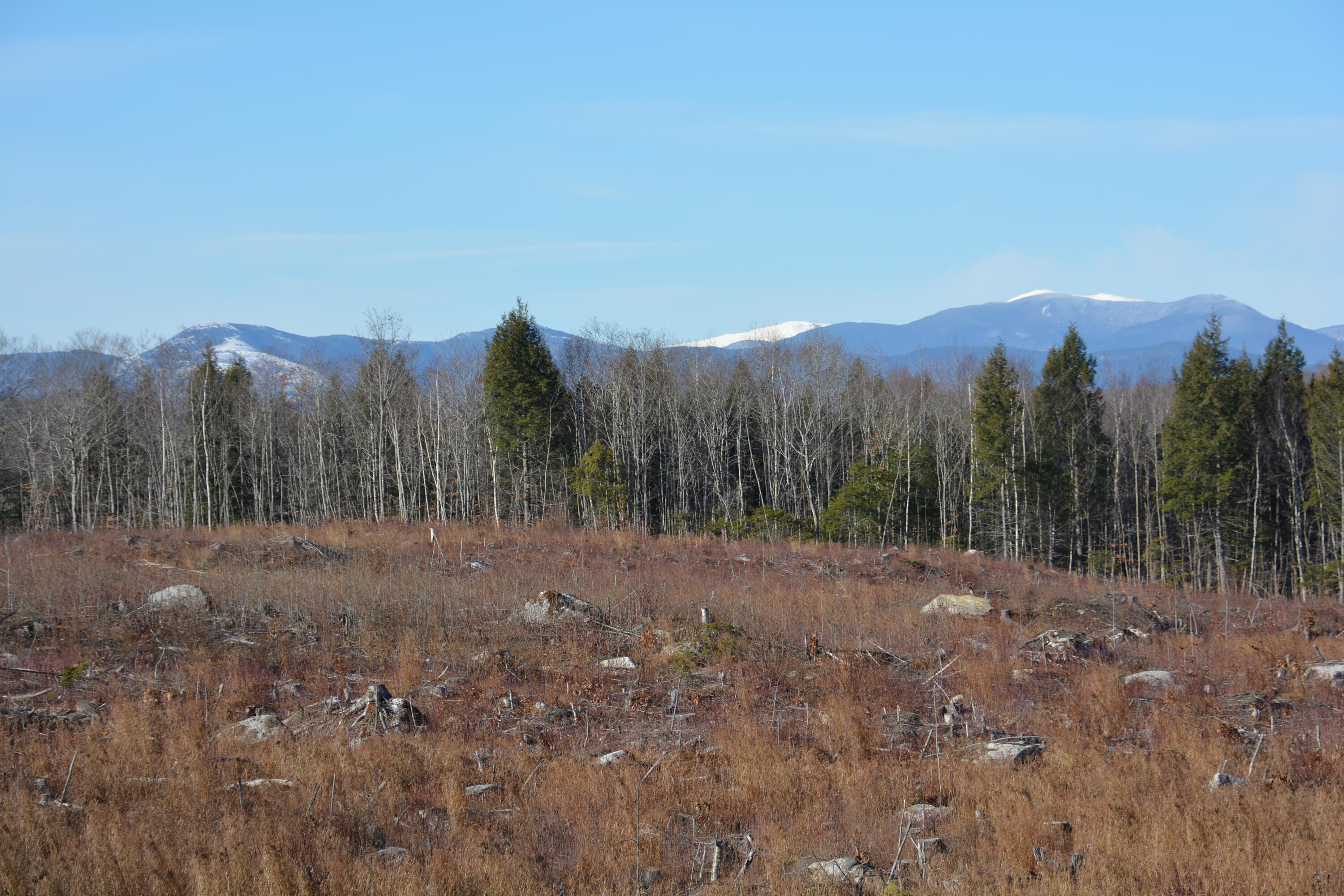 0 French Hill Road, Albany Twp, ME, 04217