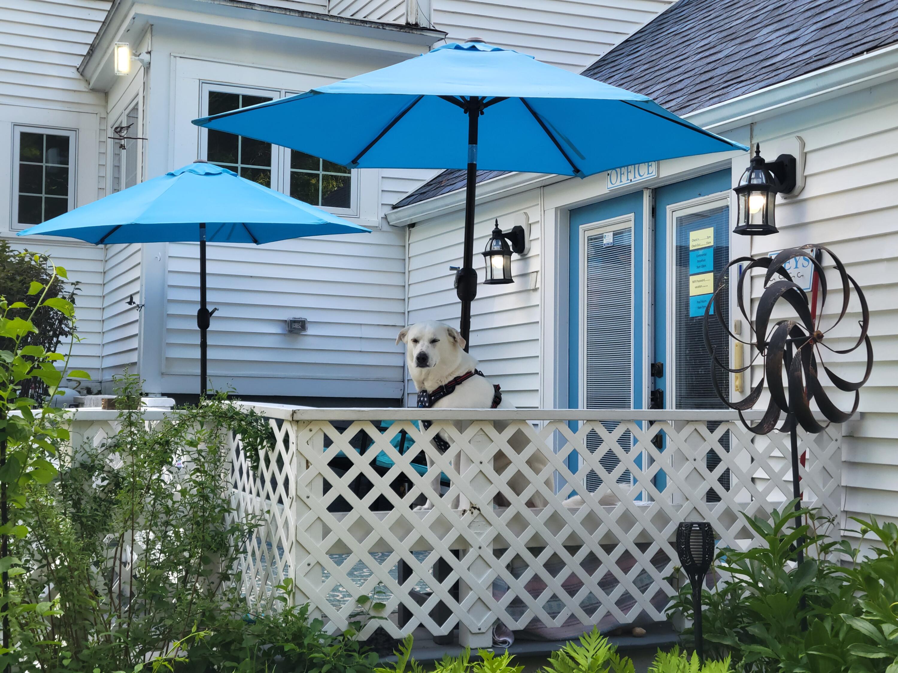 2 River Road, York, ME, 03902