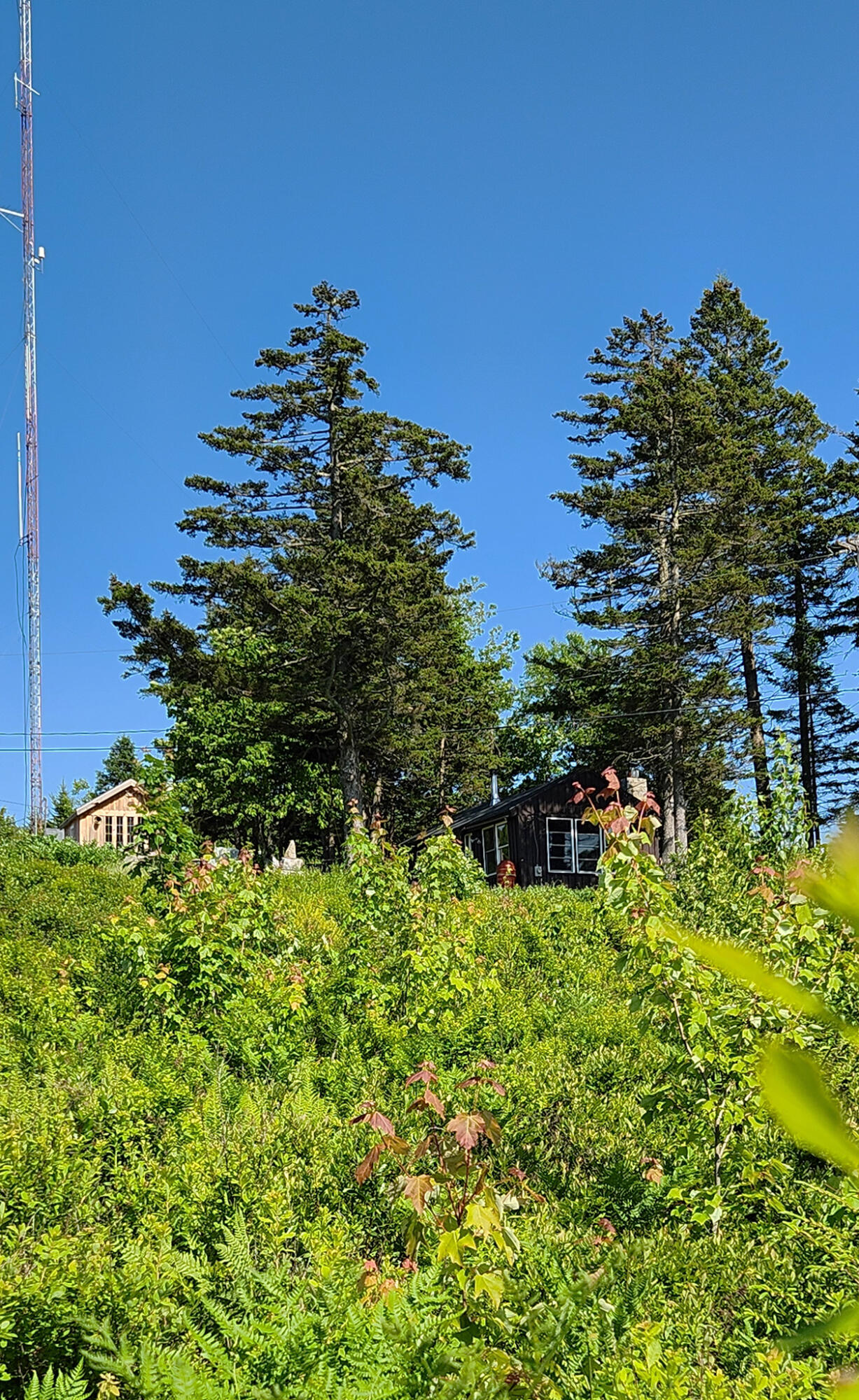 533 Mount Ephraim Map 4 Lot 63 Road, Searsport, ME, 04974