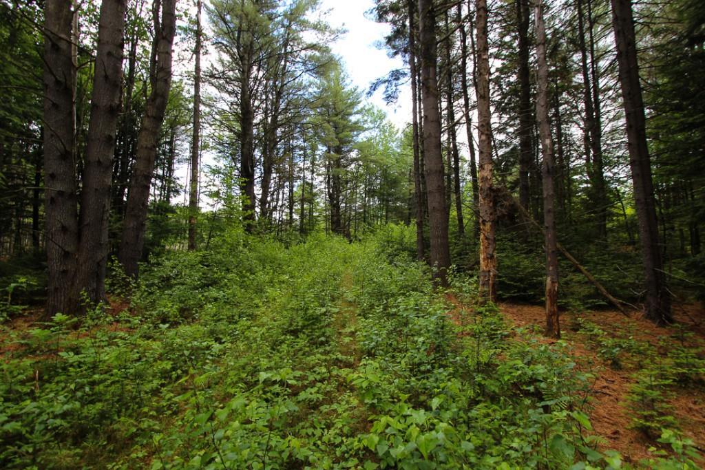 00 Cross Street, Greenwood, ME, 04255