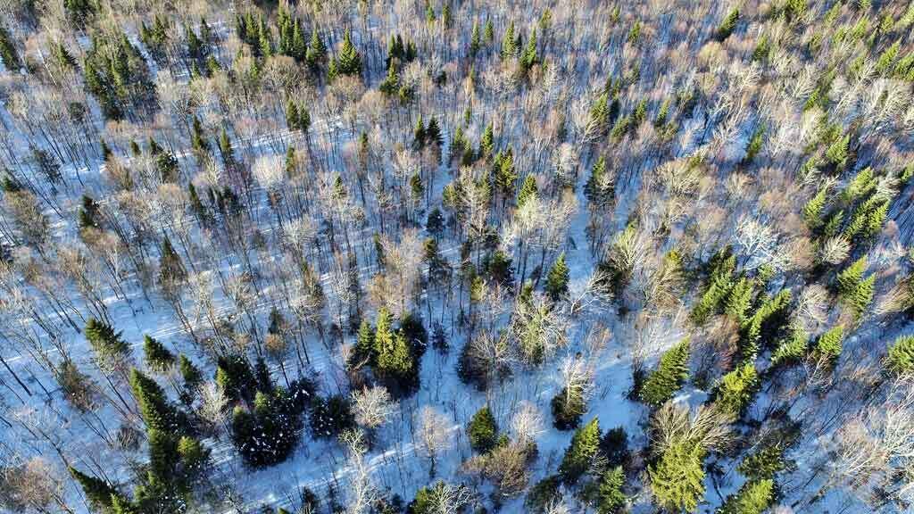 230 Maine 212, Moro Plt, ME, 04780