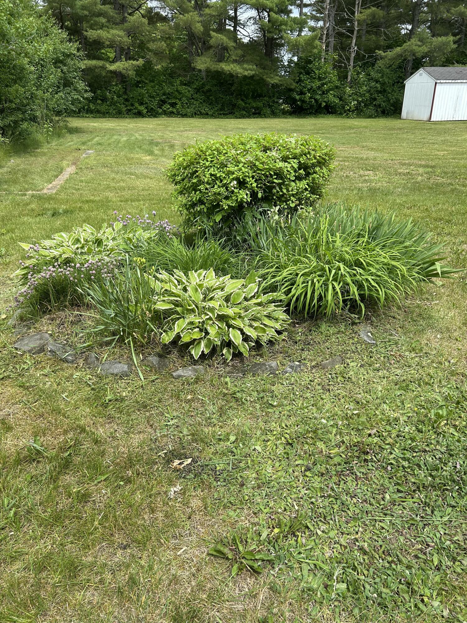 1016 State Street UNIT 7, Bangor, ME, 04401