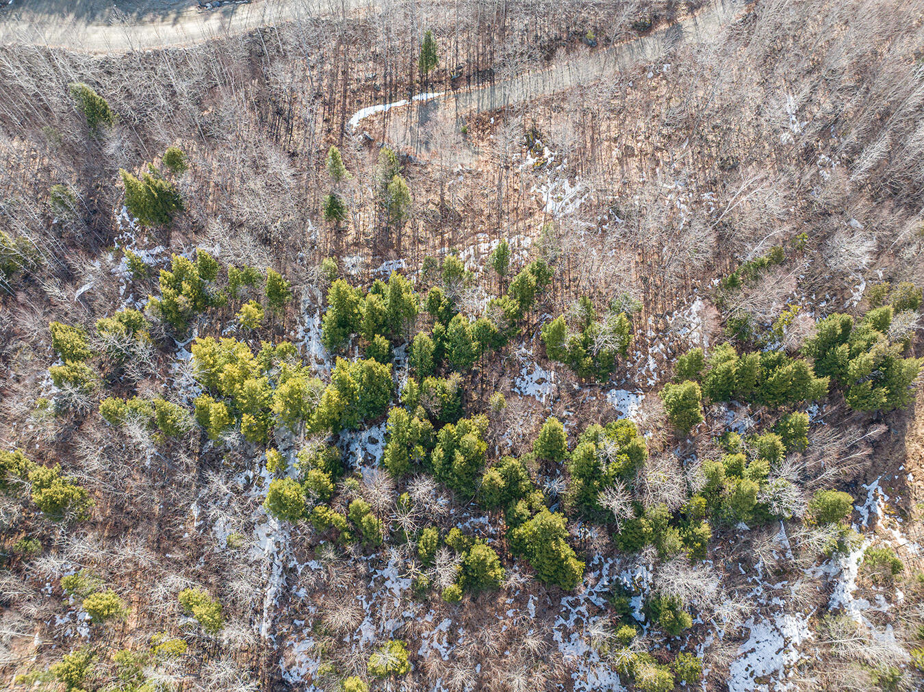 Lot 2-1 Lower Vose Road, Kingfield, ME, 04947