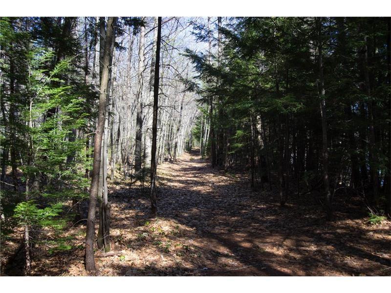 Lot 11 Jordan Woods Road, Bethel, ME, 04217