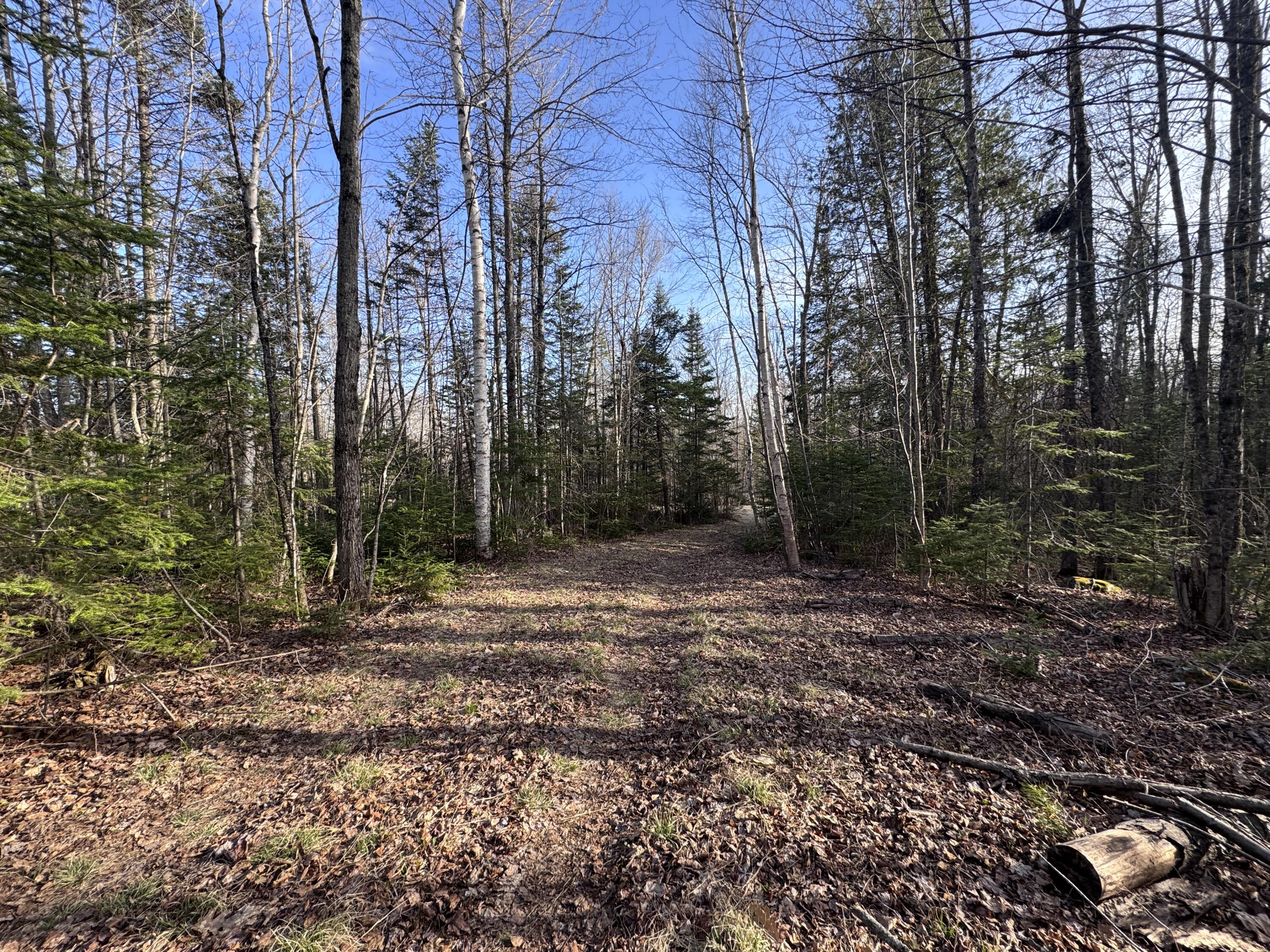 488 Cook Hill Road, Freeman Twp, ME 04983 Driveway
