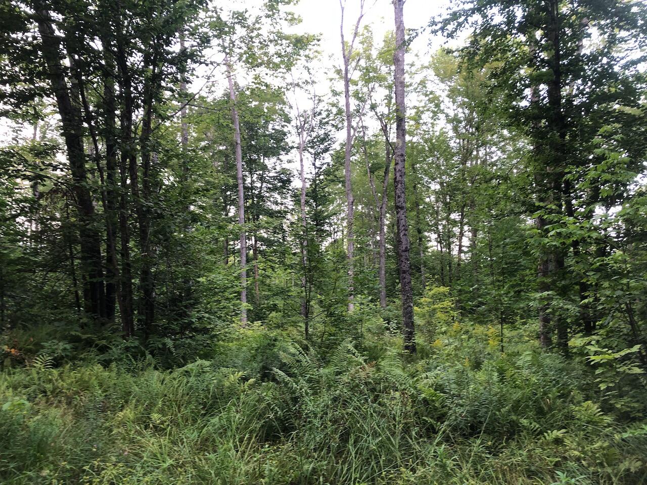 06 Swett Brook Lane, Weld, ME, 04285