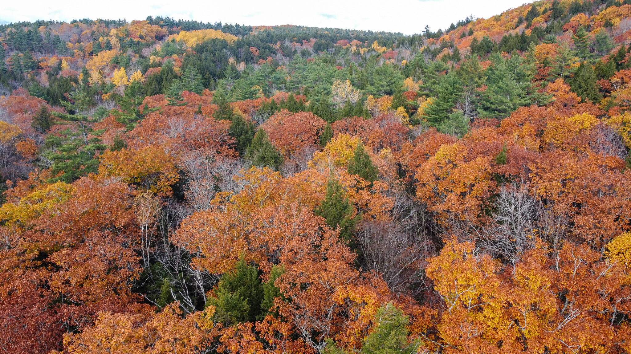 Lot 2 Darci Lane, Montville, ME, 04941