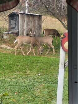 38 Kuvaja Road, Greenwood, ME, 04255