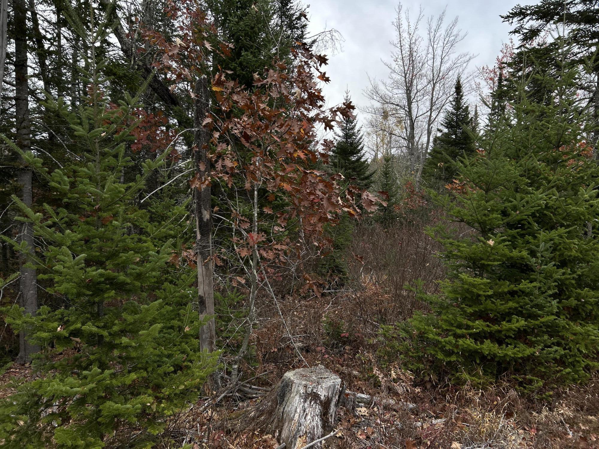 M4L18 Bog Road, Jackson, ME, 04921