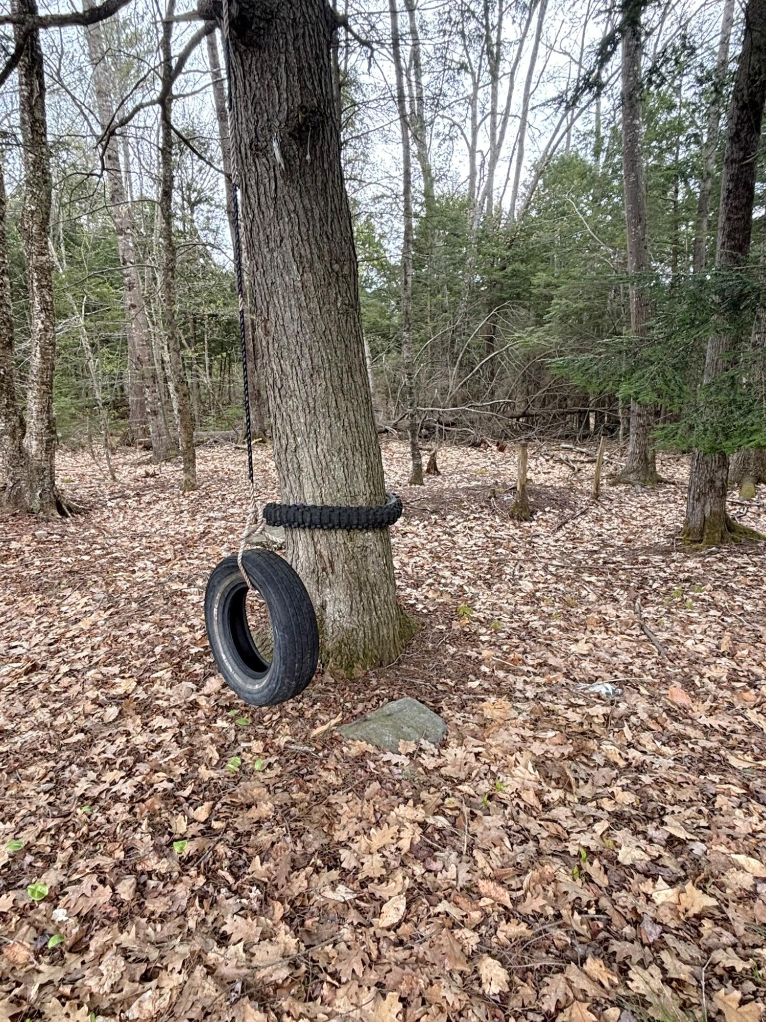 25. Tire Swing