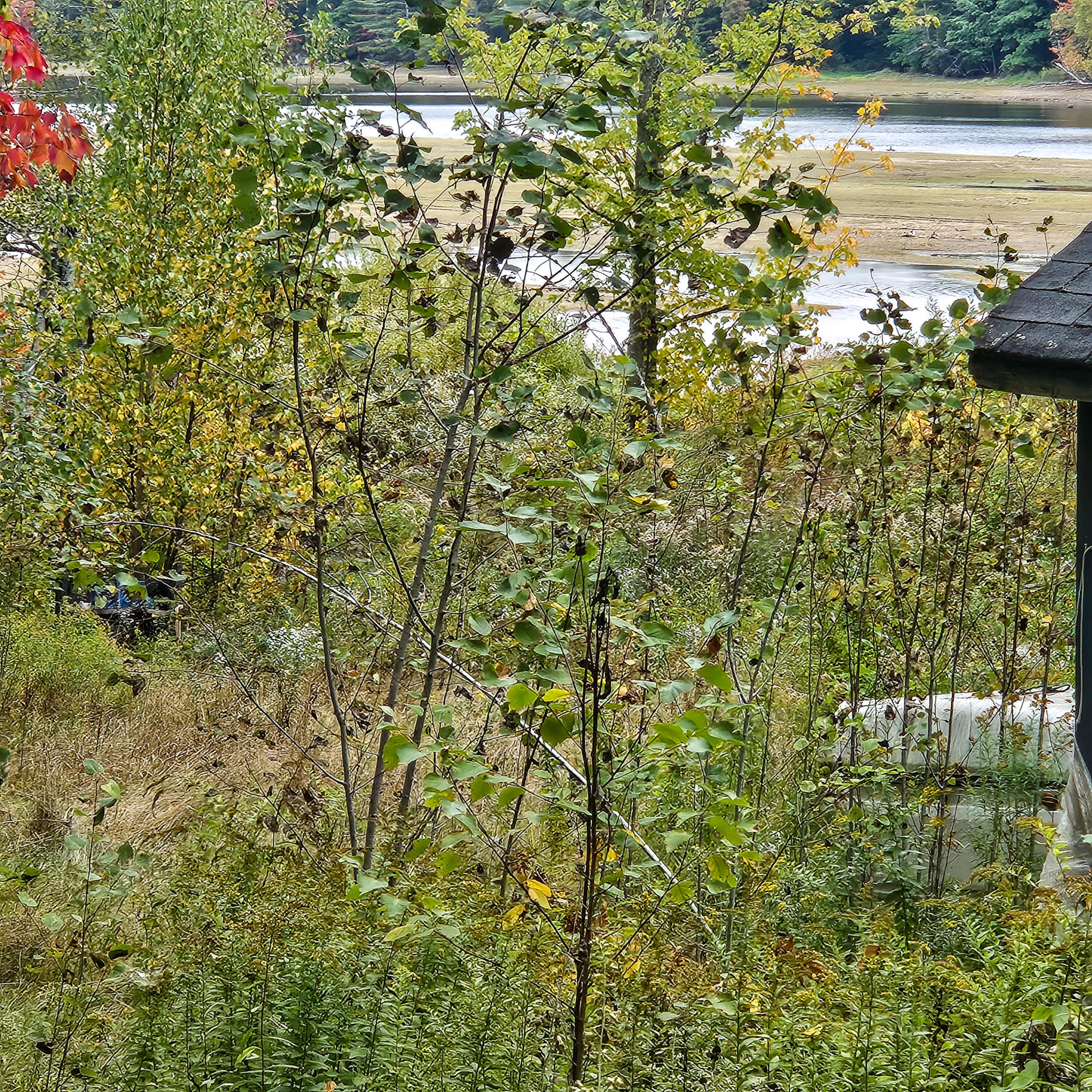 206 Morrison Farm Road, Mariaville, ME, 04605