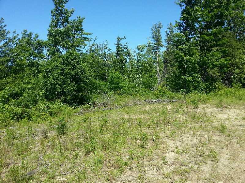 44 Coyote Lane, Carthage, ME, 04224