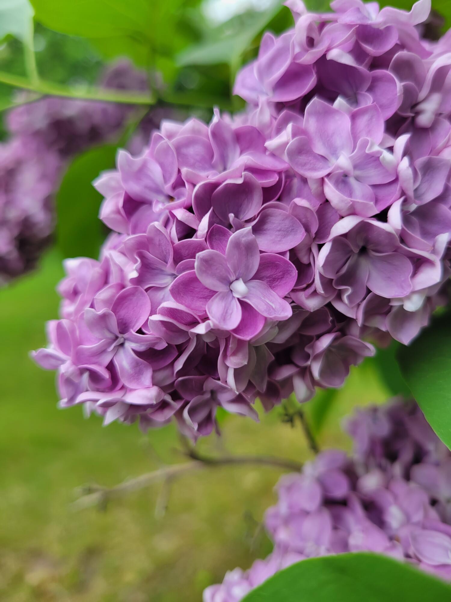 46 N Gorham Road, Gorham, ME, 04038