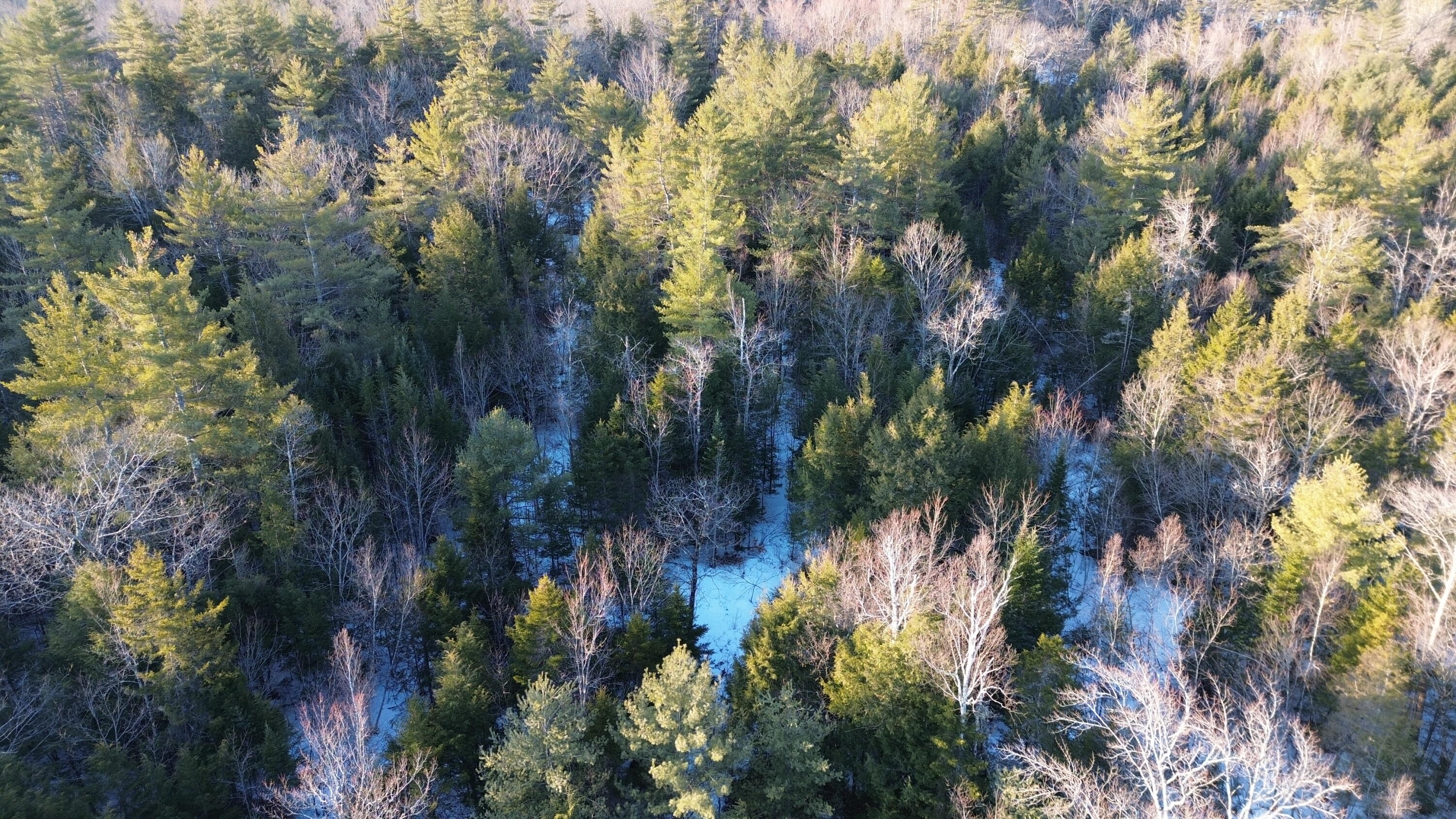 Map13Lot11 Field View Road, Fryeburg, ME, 04037