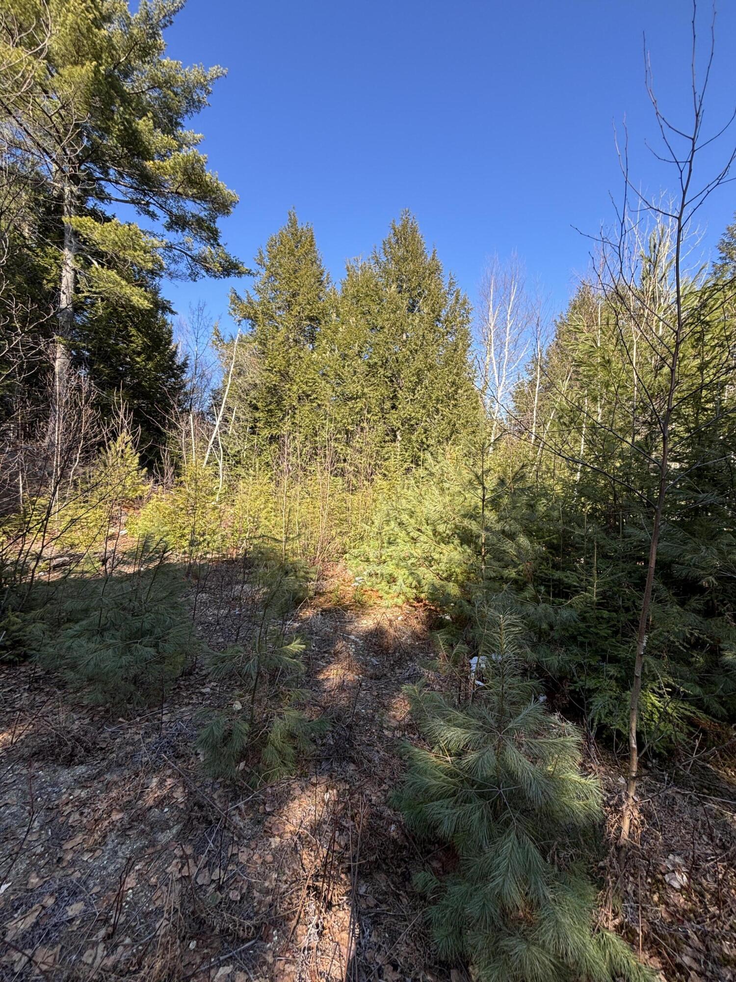 6 Bog Brook Loop, West Paris, ME, 04289