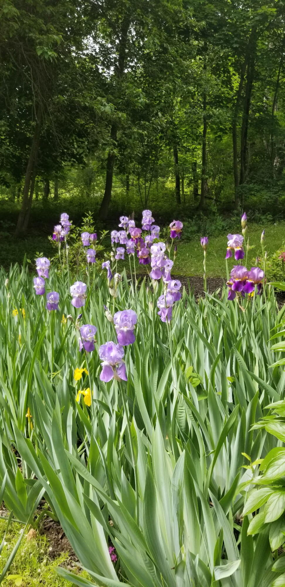 1522 Pushaw Road, Glenburn, ME, 04401